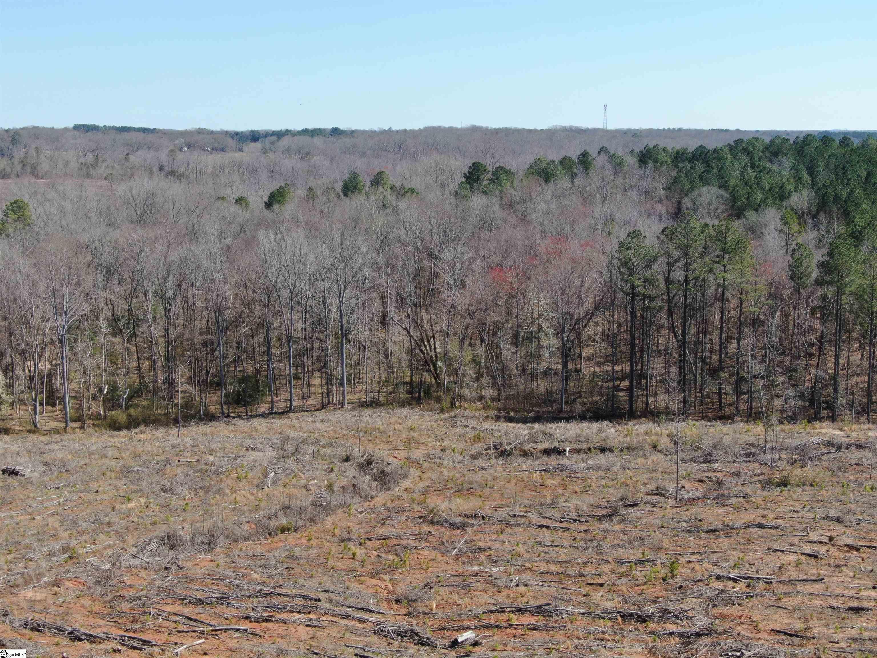 Elledge, Ware Shoals, South Carolina image 24