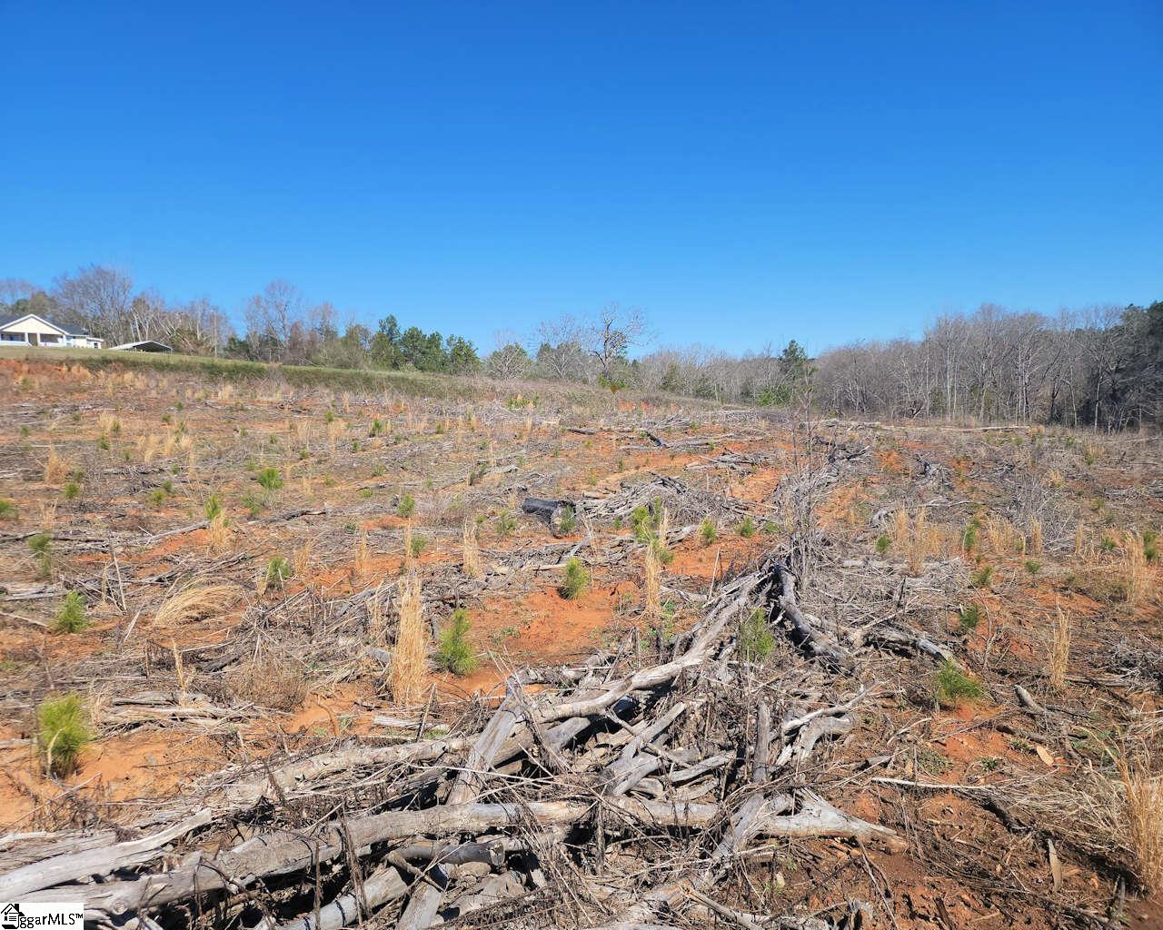 Elledge, Ware Shoals, South Carolina image 29