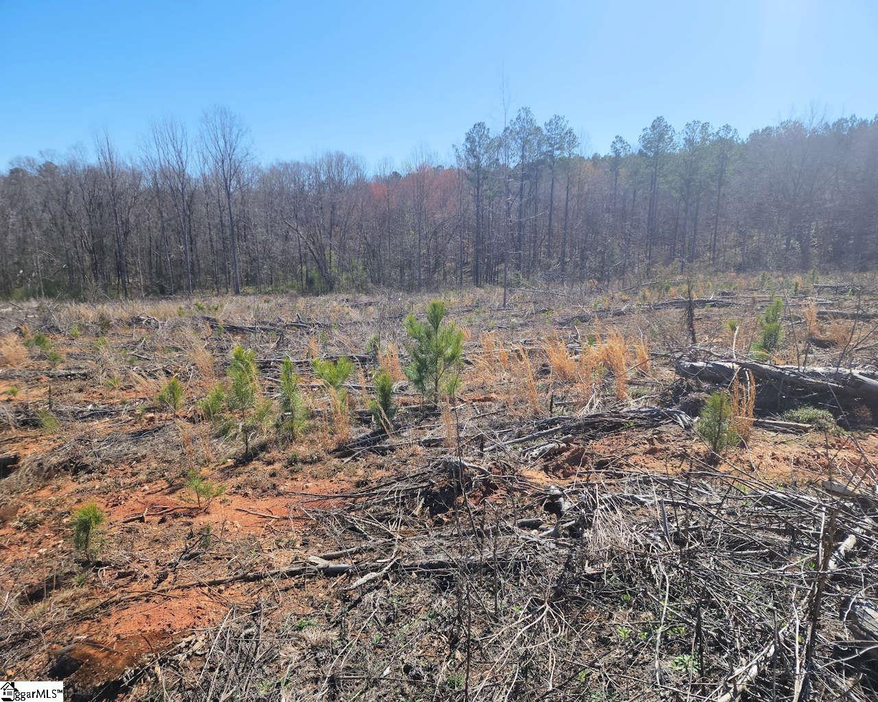 Elledge, Ware Shoals, South Carolina image 32