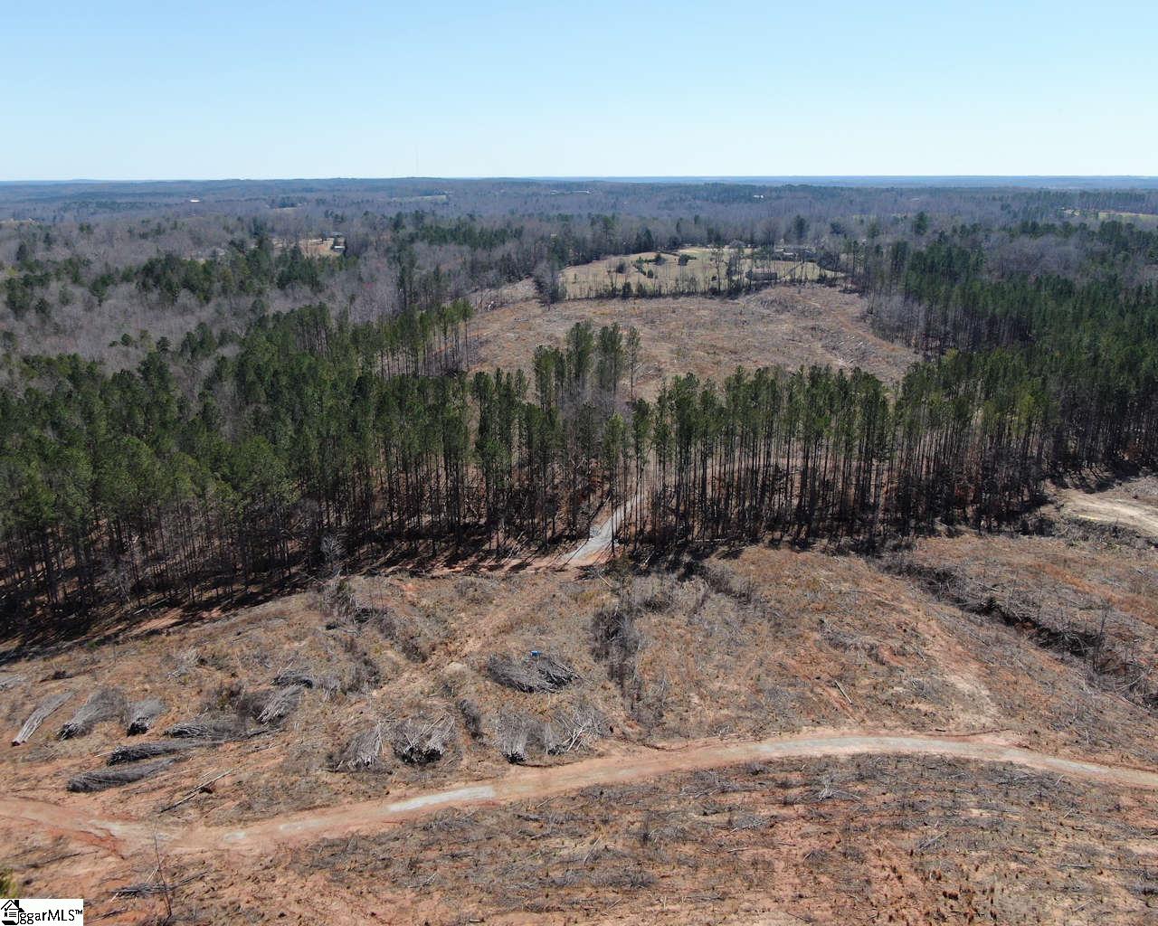 Elledge, Ware Shoals, South Carolina image 5