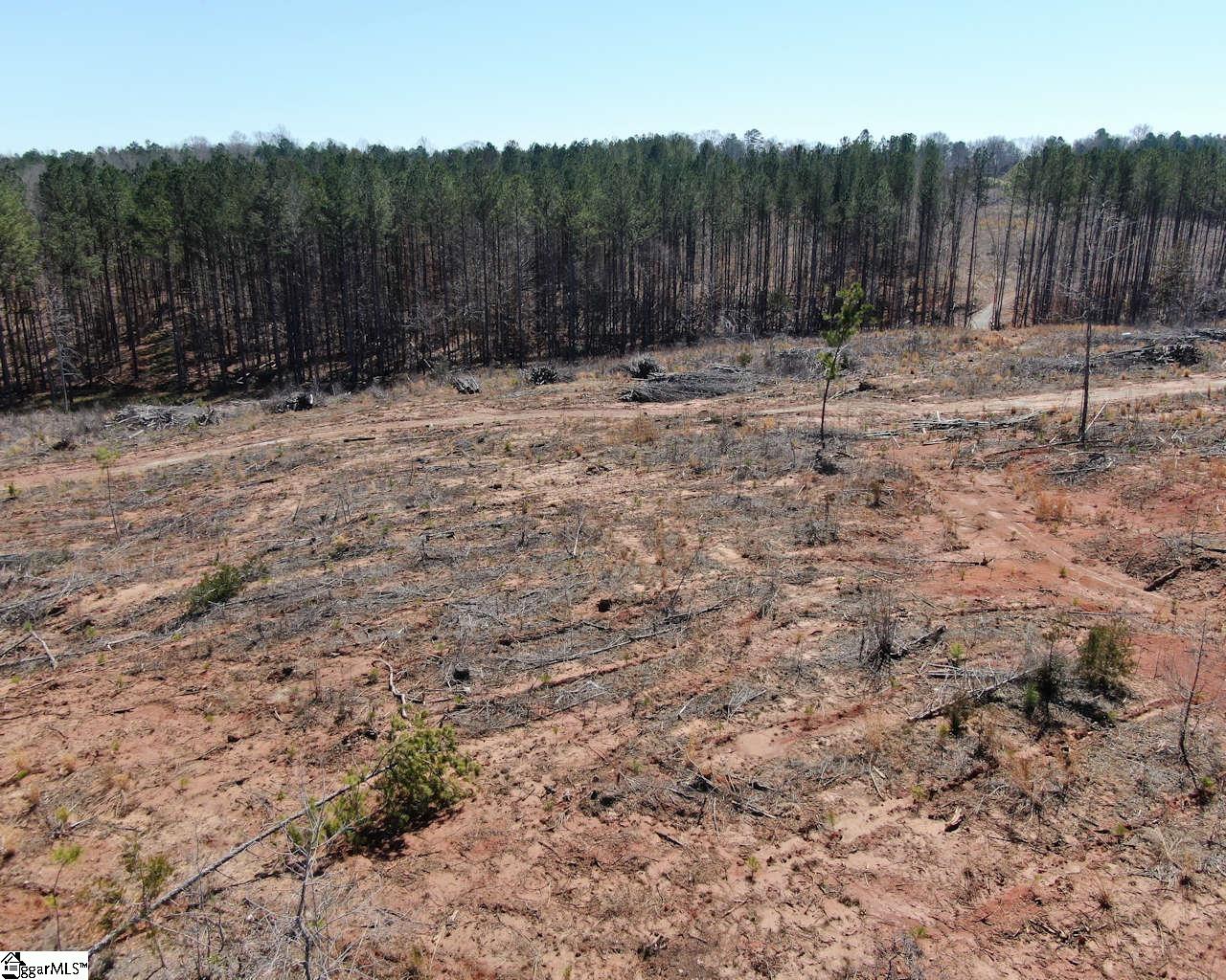 Elledge, Ware Shoals, South Carolina image 7