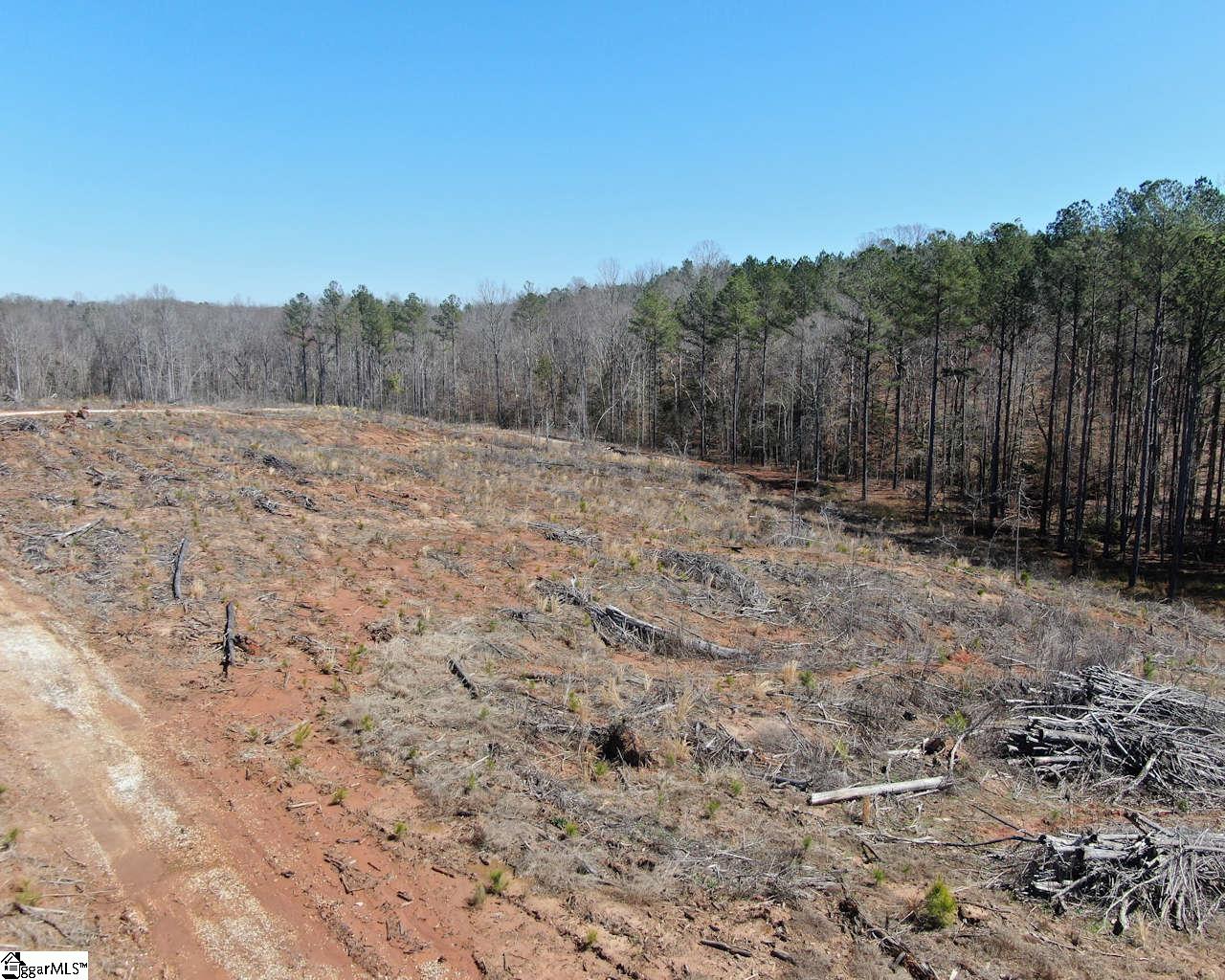 Elledge, Ware Shoals, South Carolina image 8