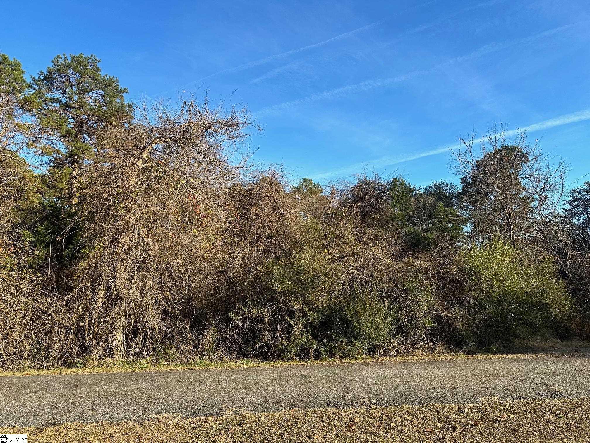 Blue Bird Hill, Chesnee, South Carolina image 2
