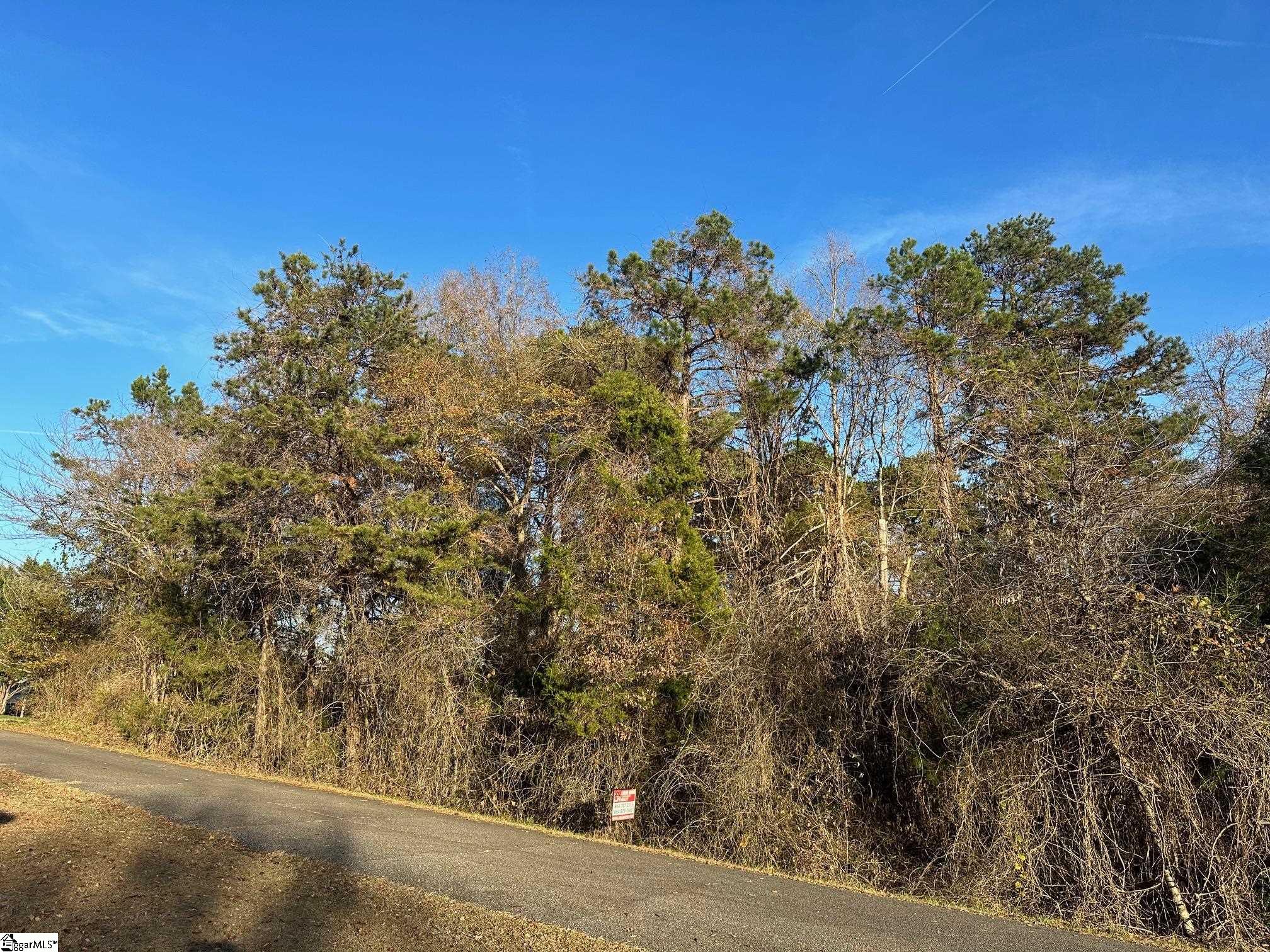 Blue Bird Hill, Chesnee, South Carolina image 3
