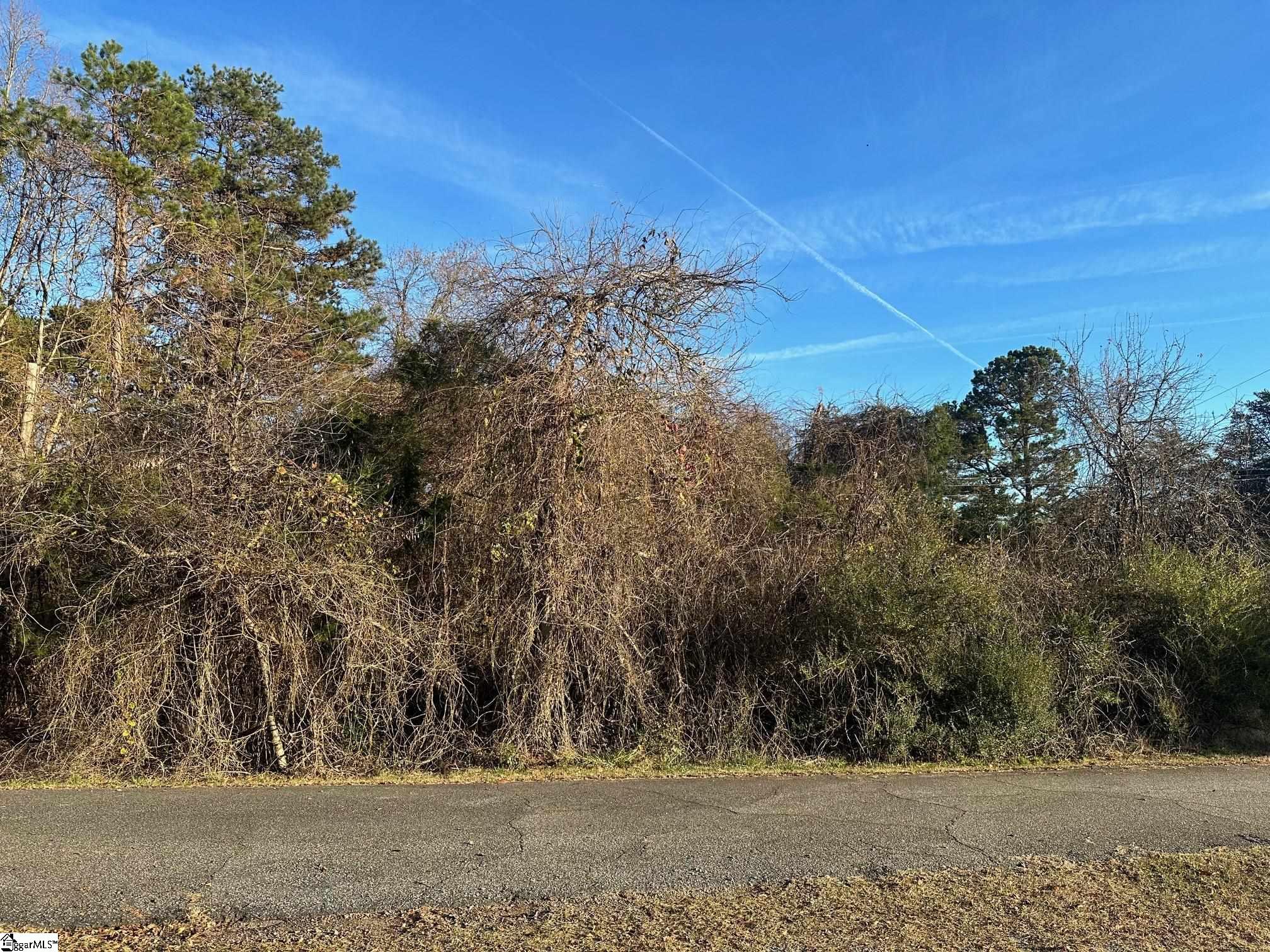 Blue Bird Hill, Chesnee, South Carolina image 4