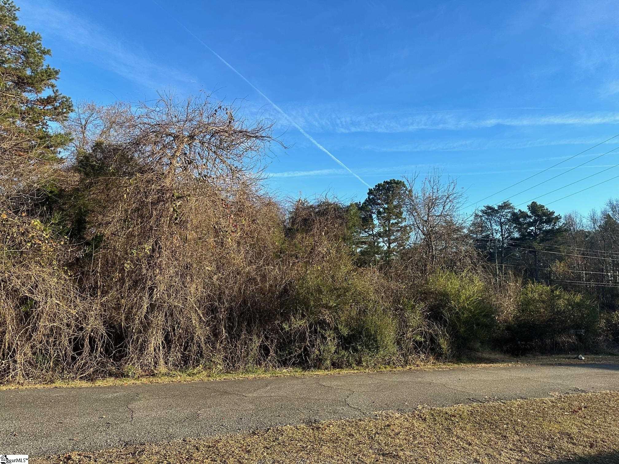Blue Bird Hill, Chesnee, South Carolina image 5