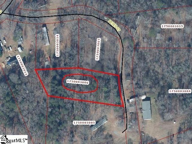 110 Petes, Belton, South Carolina image 1