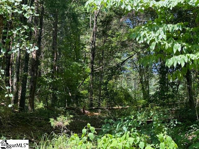 110 Petes, Belton, South Carolina image 10