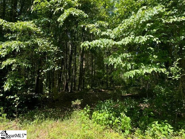 110 Petes, Belton, South Carolina image 11
