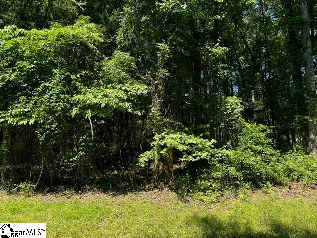 110 Petes, Belton, South Carolina image 2