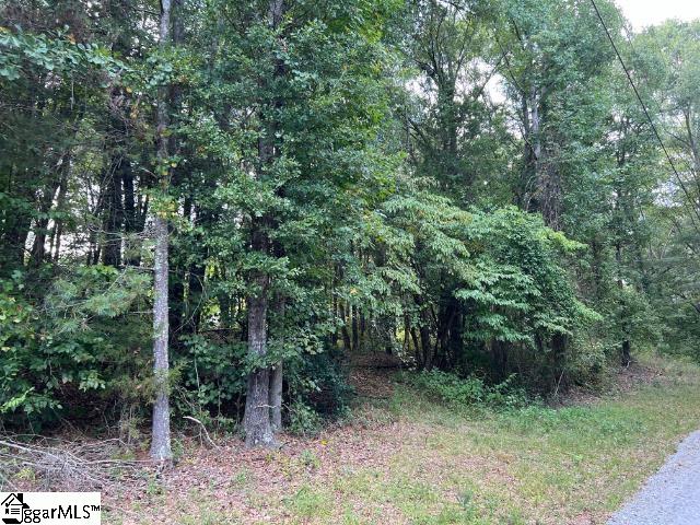 110 Petes, Belton, South Carolina image 4
