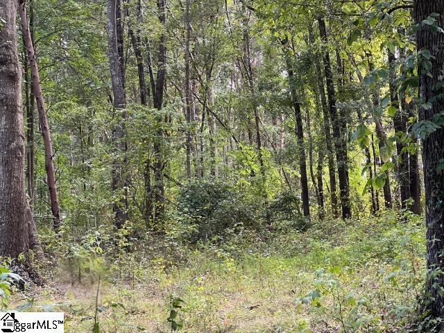 110 Petes, Belton, South Carolina image 5
