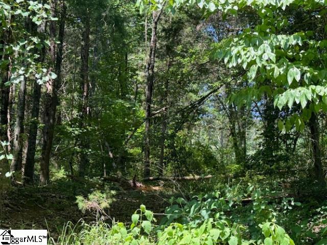 110 Petes, Belton, South Carolina image 8