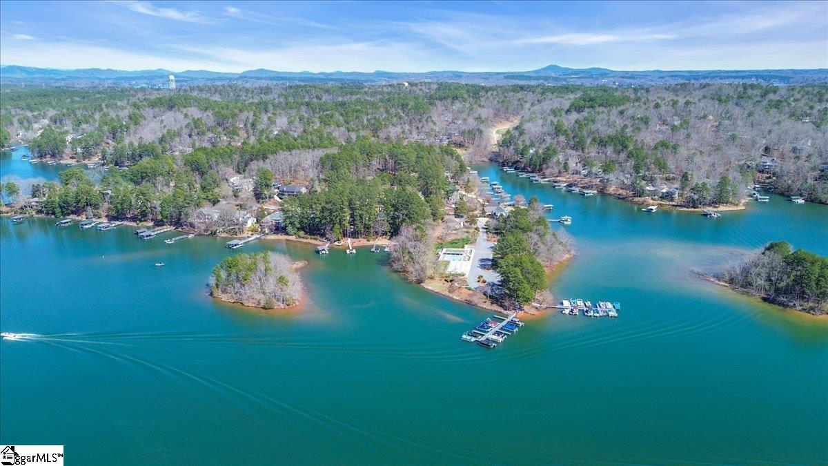 545 Long Reach, Salem, South Carolina image 29