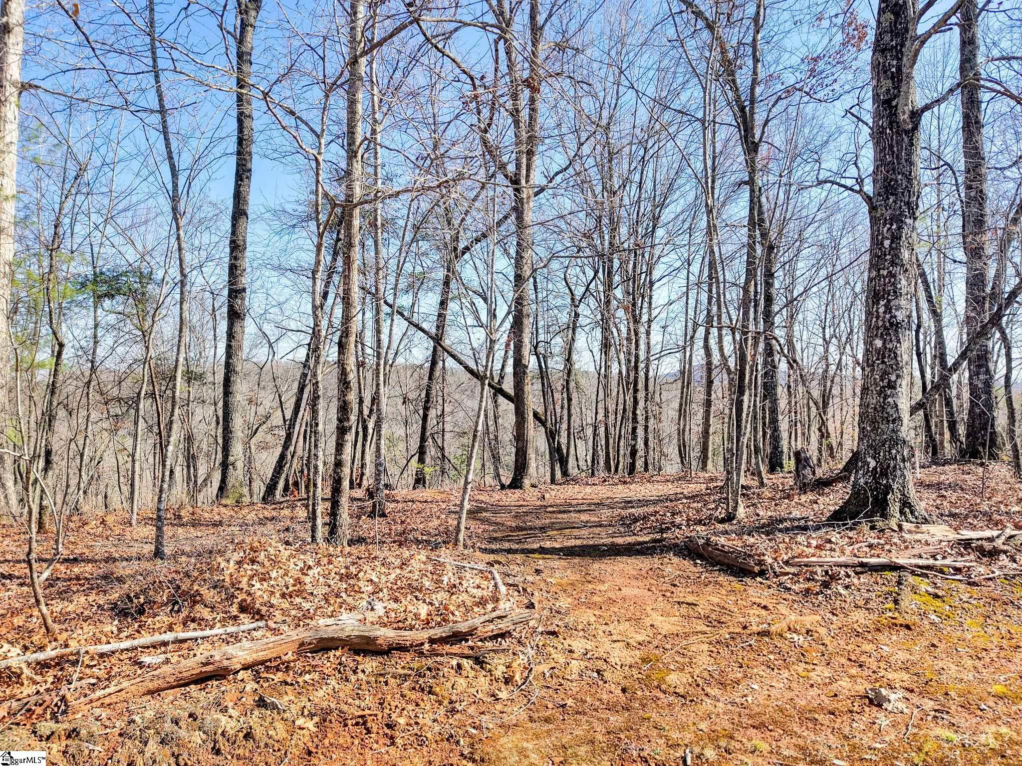 00 Emerald Crest, Cleveland, South Carolina image 13
