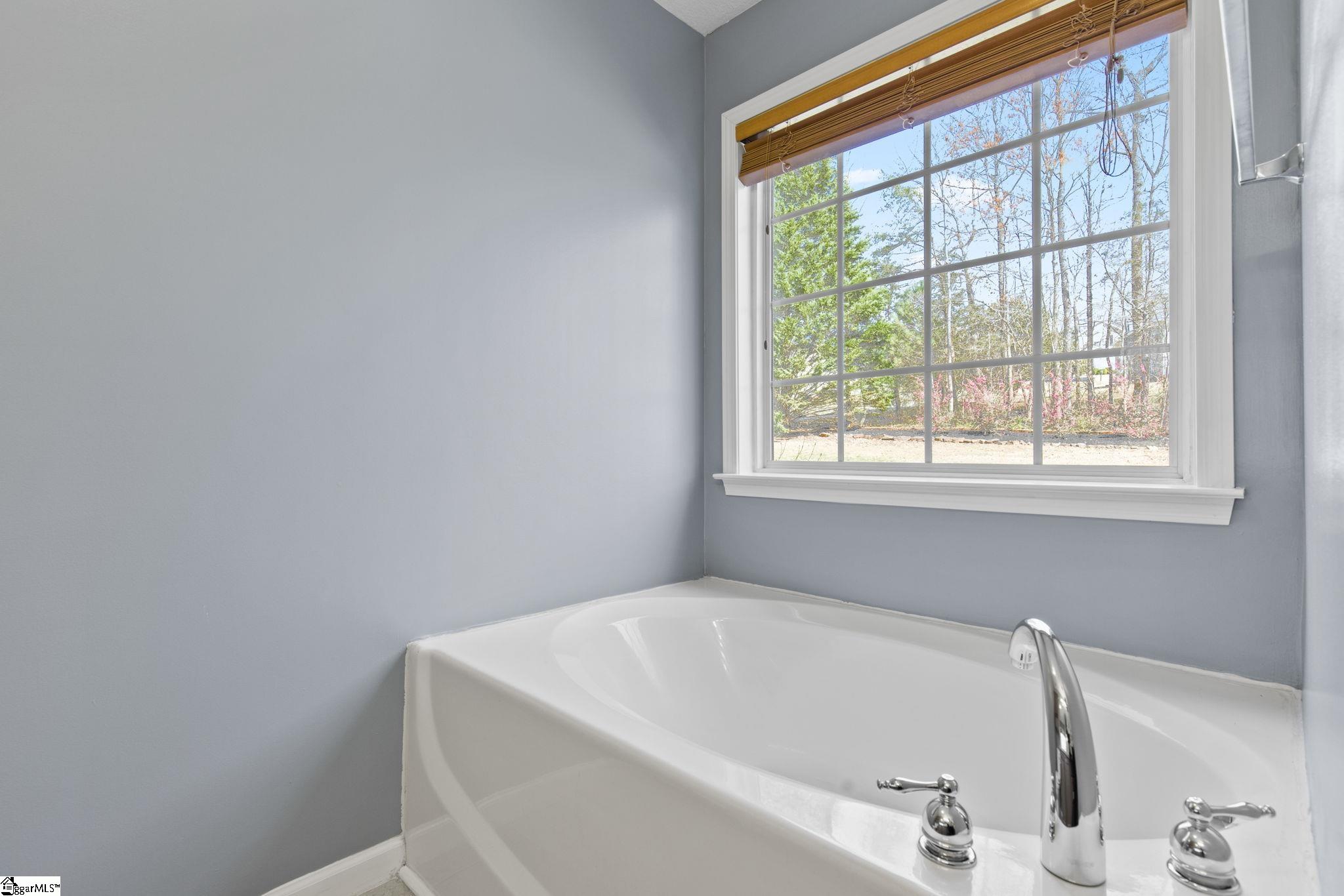 33 Sacha, Travelers Rest, South Carolina image 17