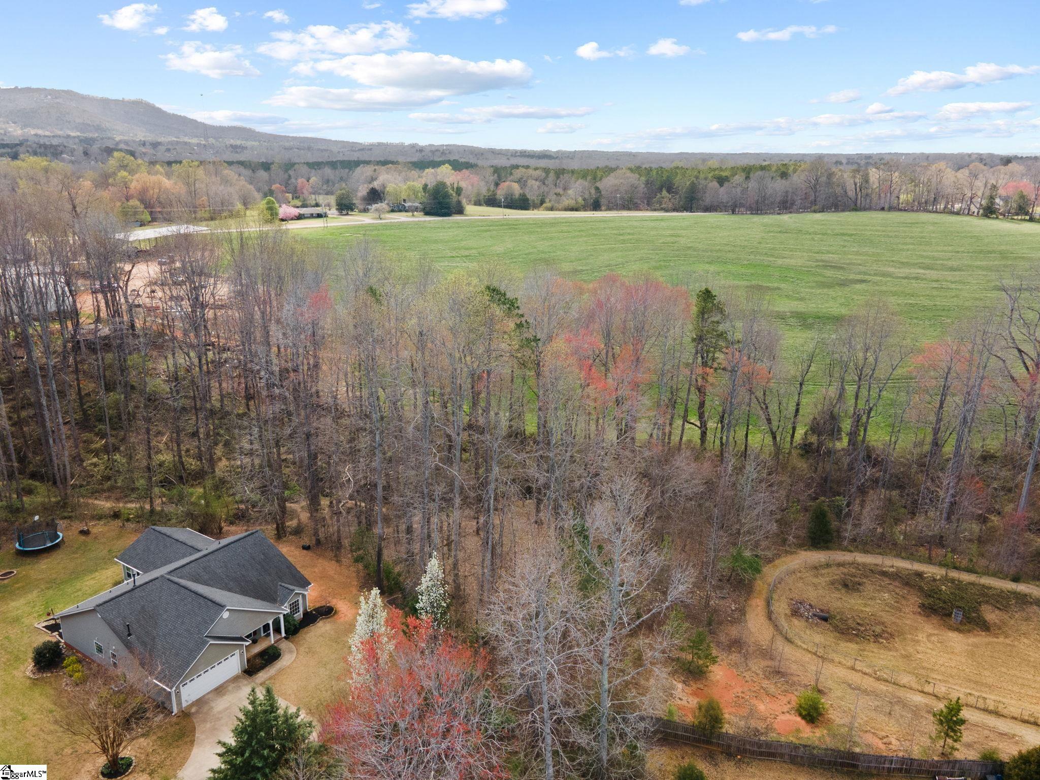 33 Sacha, Travelers Rest, South Carolina image 39