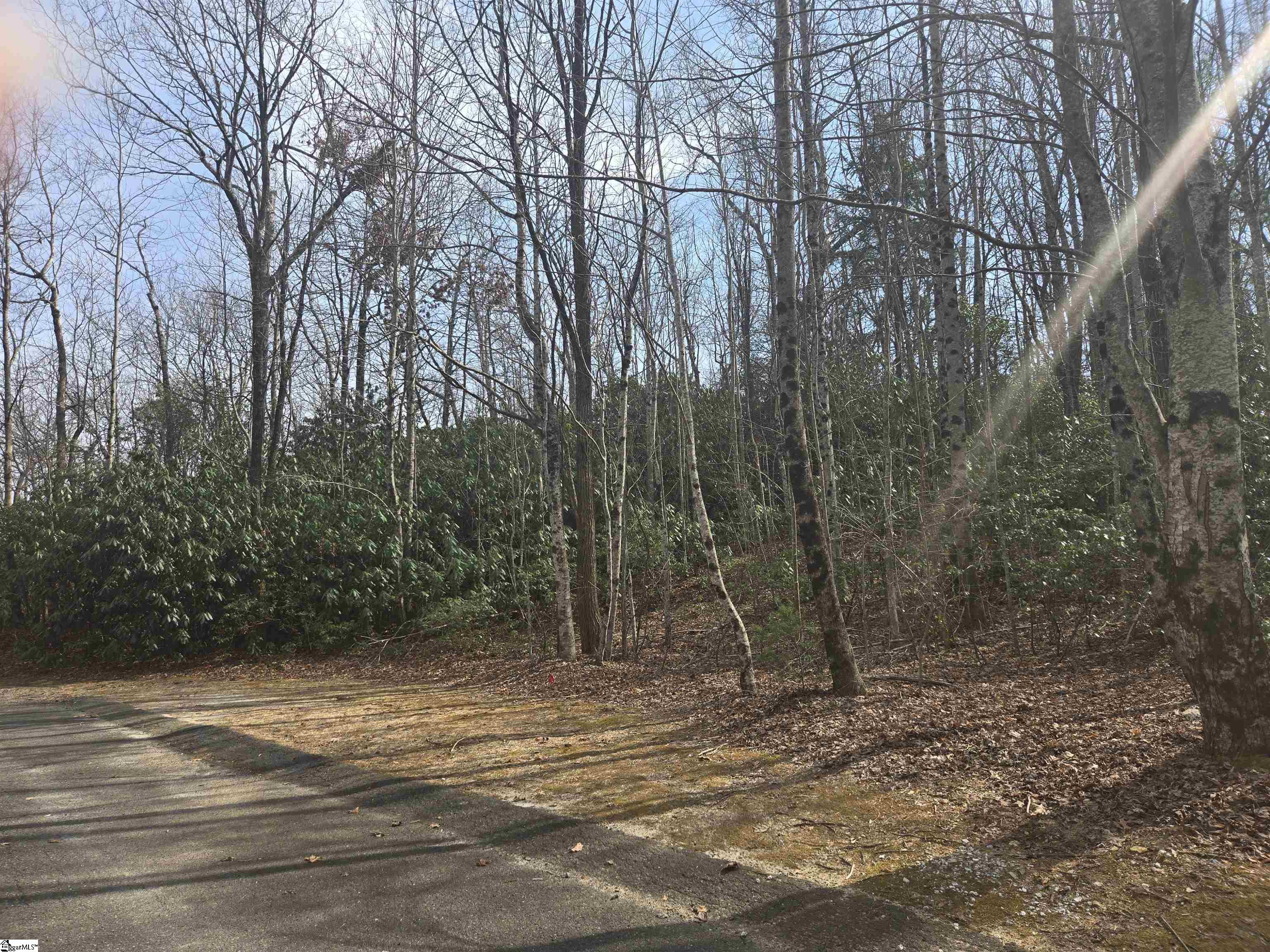 68 Conifer Falls, Cleveland, South Carolina image 2