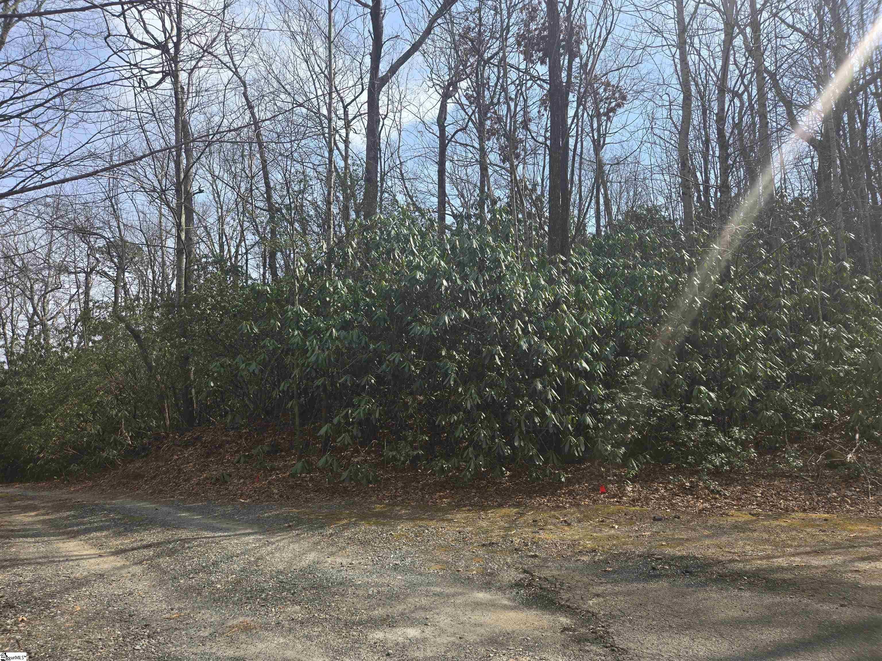 68 Conifer Falls, Cleveland, South Carolina image 3