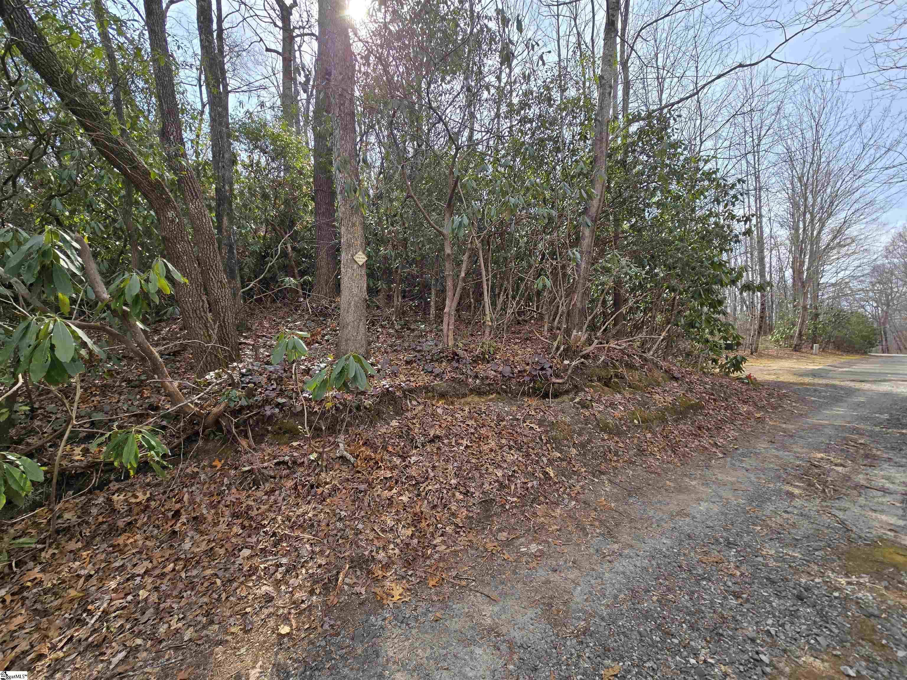 68 Conifer Falls, Cleveland, South Carolina image 4
