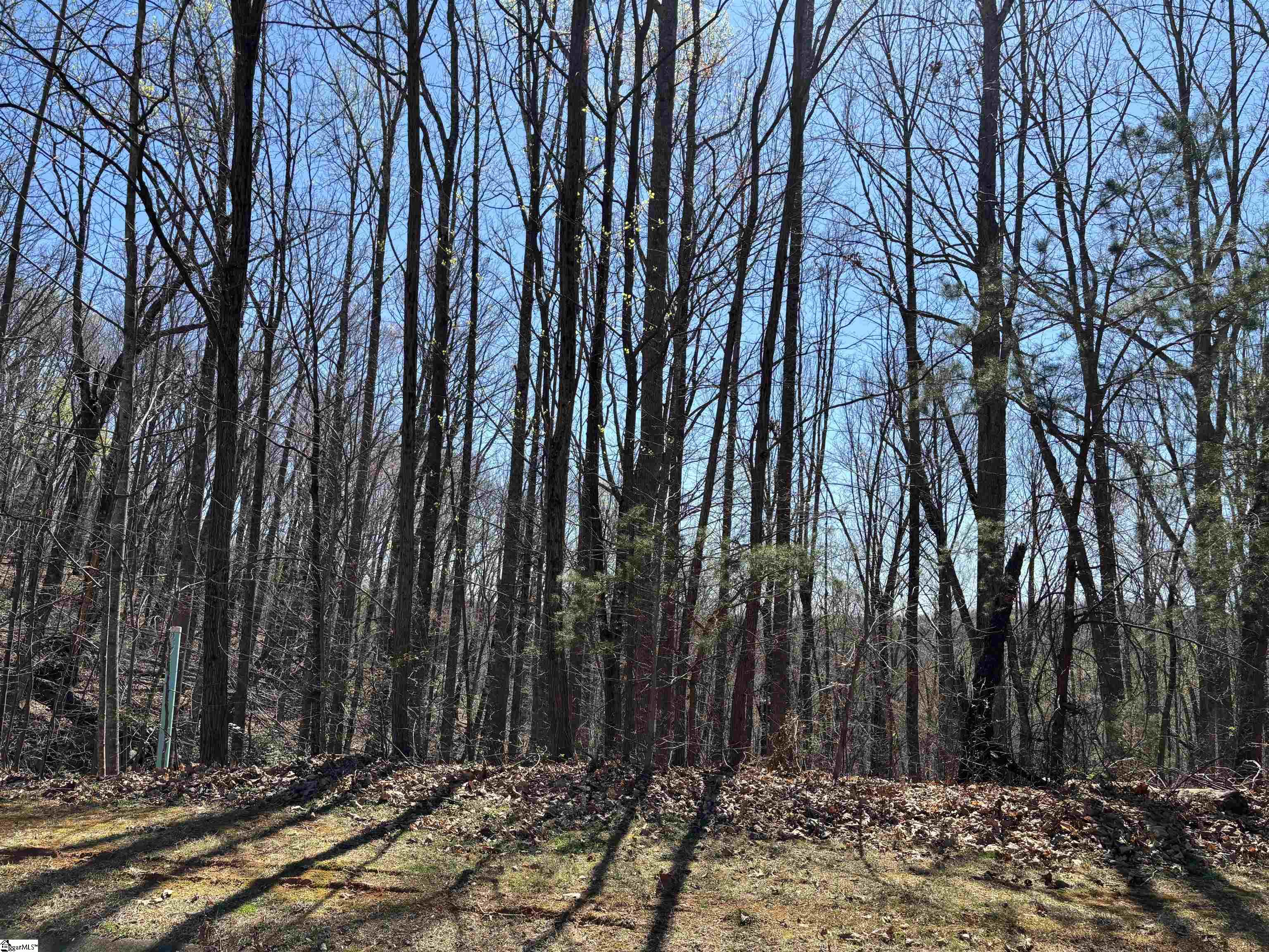 317 Laurel Valley, Travelers Rest, South Carolina image 2