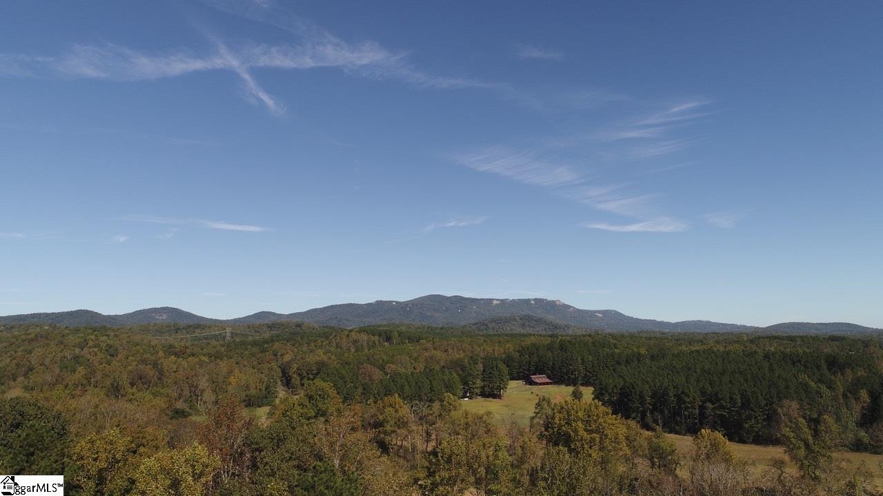 317 Laurel Valley, Travelers Rest, South Carolina image 12