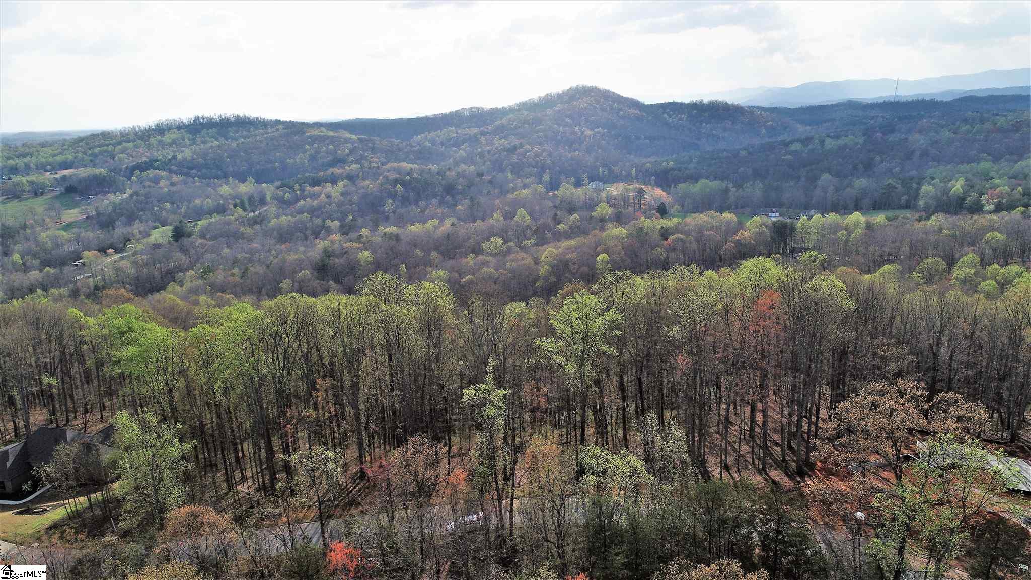 317 Laurel Valley, Travelers Rest, South Carolina image 15
