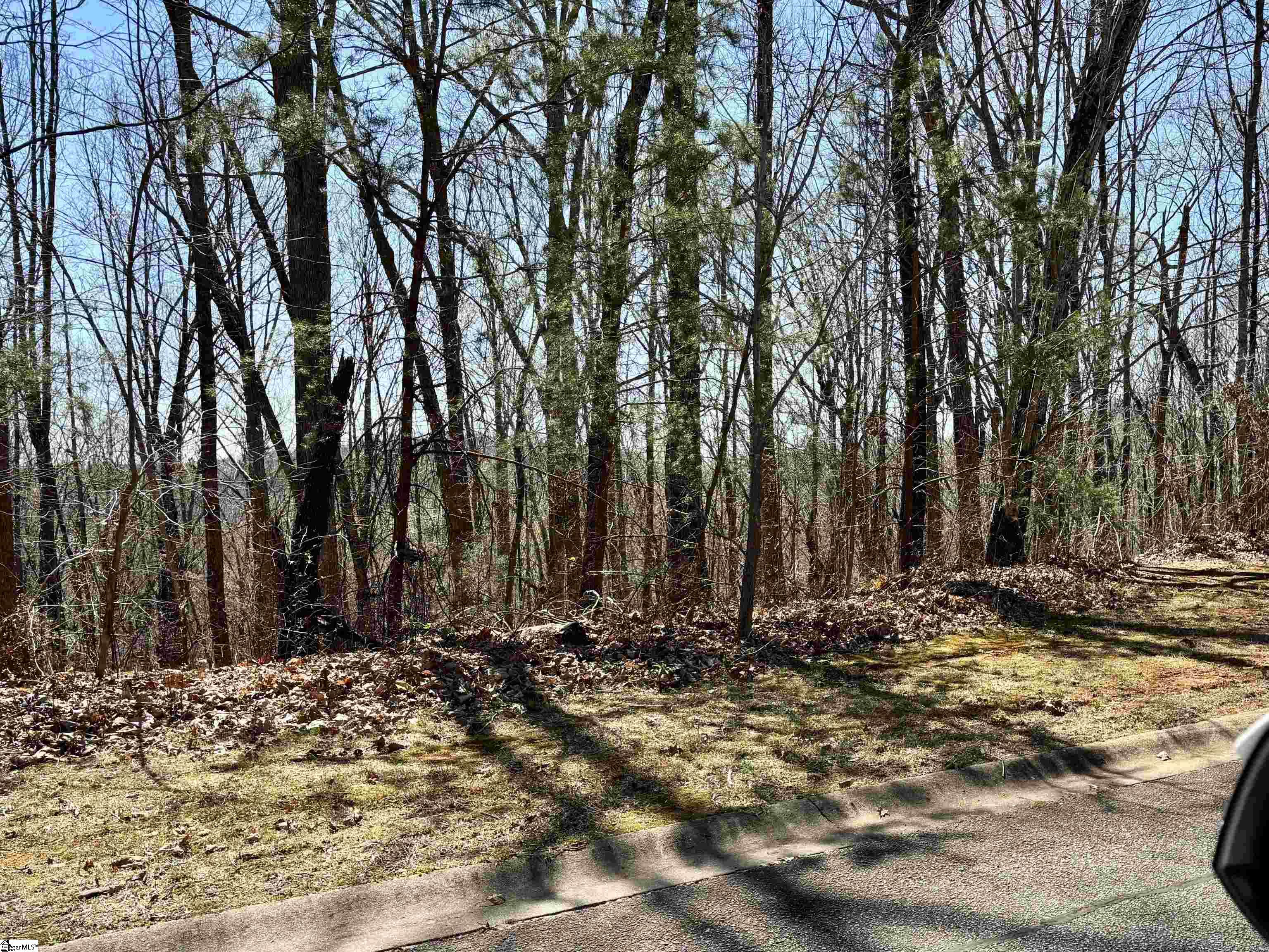 317 Laurel Valley, Travelers Rest, South Carolina image 20