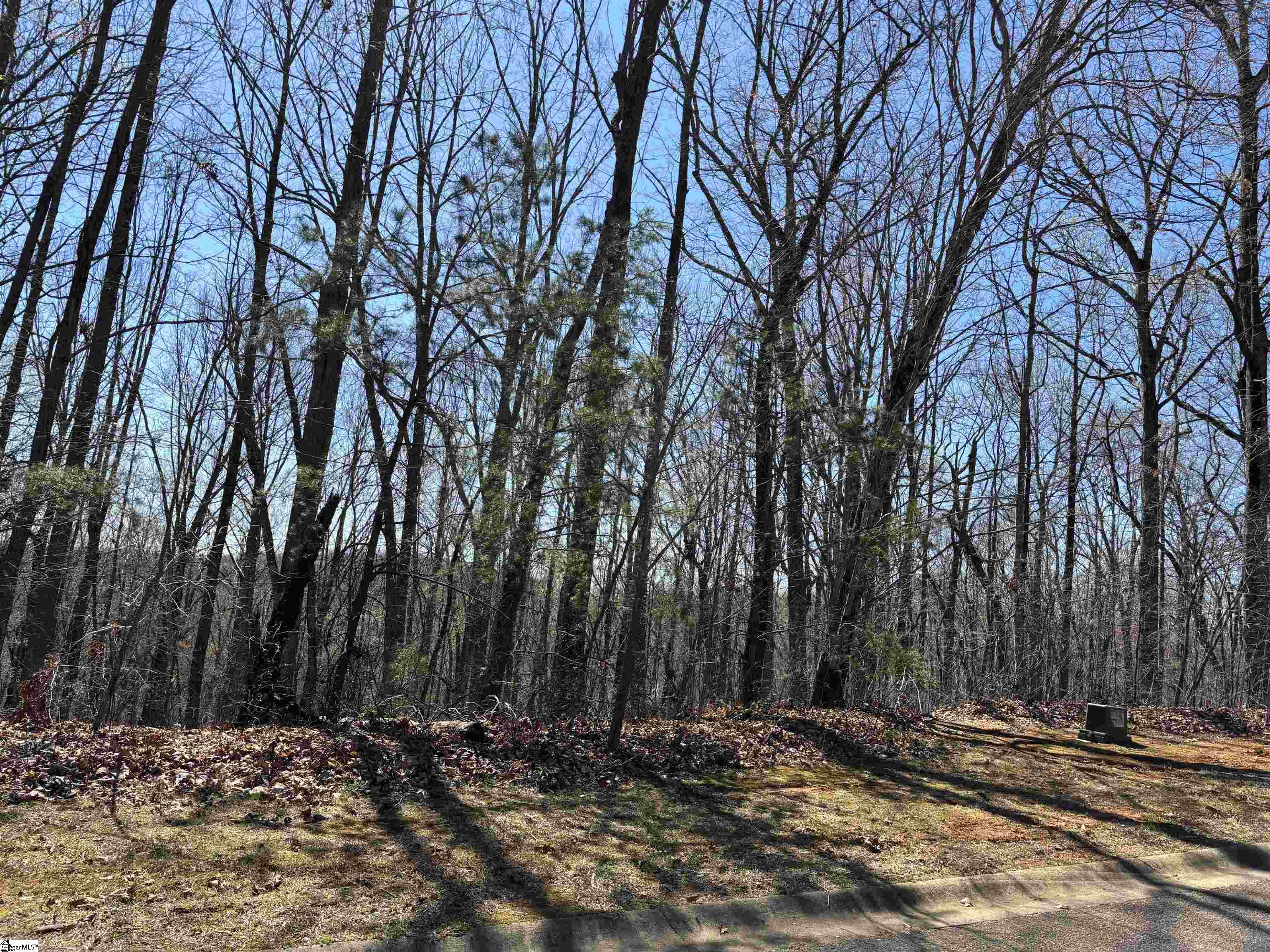 317 Laurel Valley, Travelers Rest, South Carolina image 3