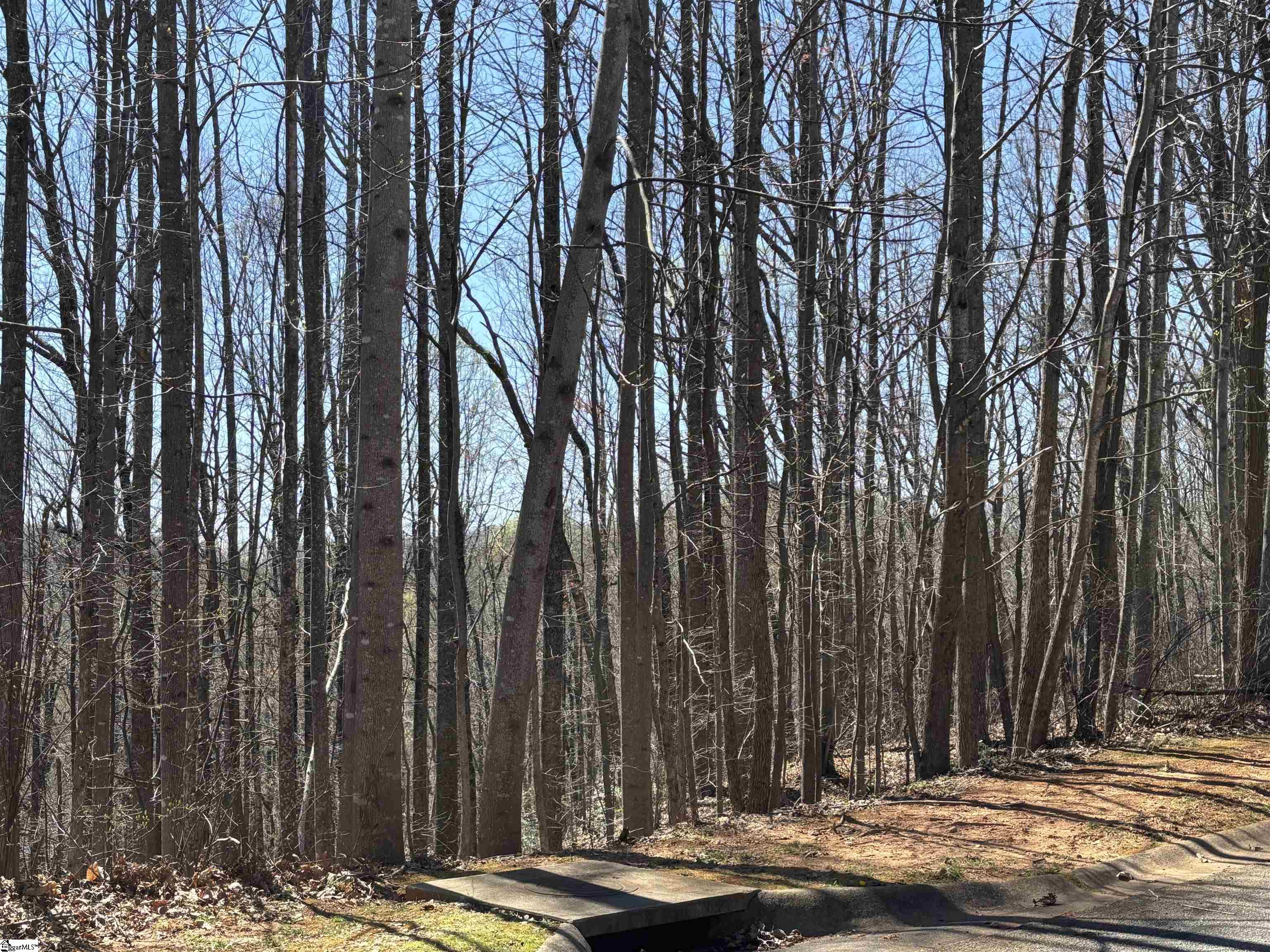 317 Laurel Valley, Travelers Rest, South Carolina image 23