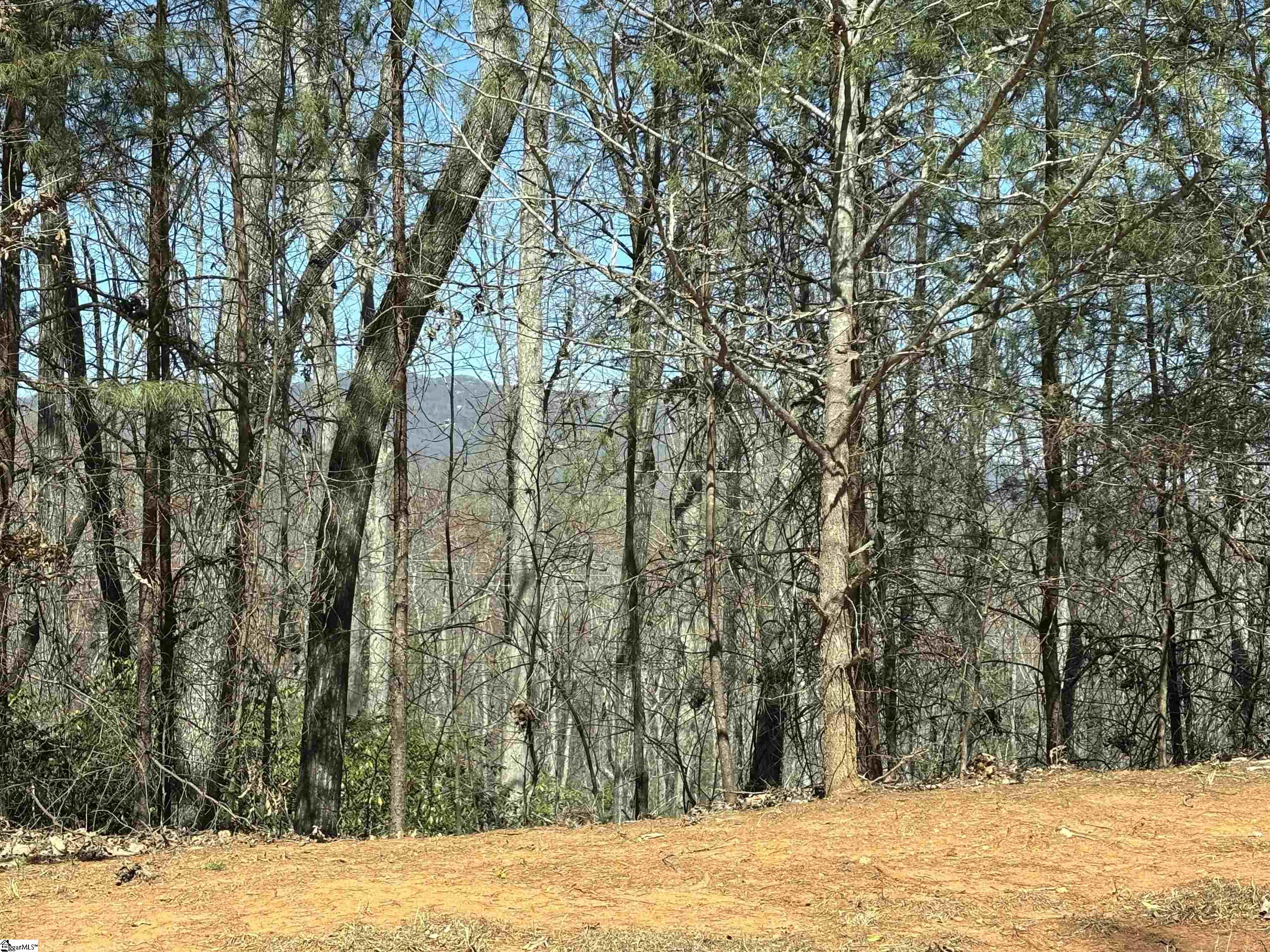 317 Laurel Valley, Travelers Rest, South Carolina image 24