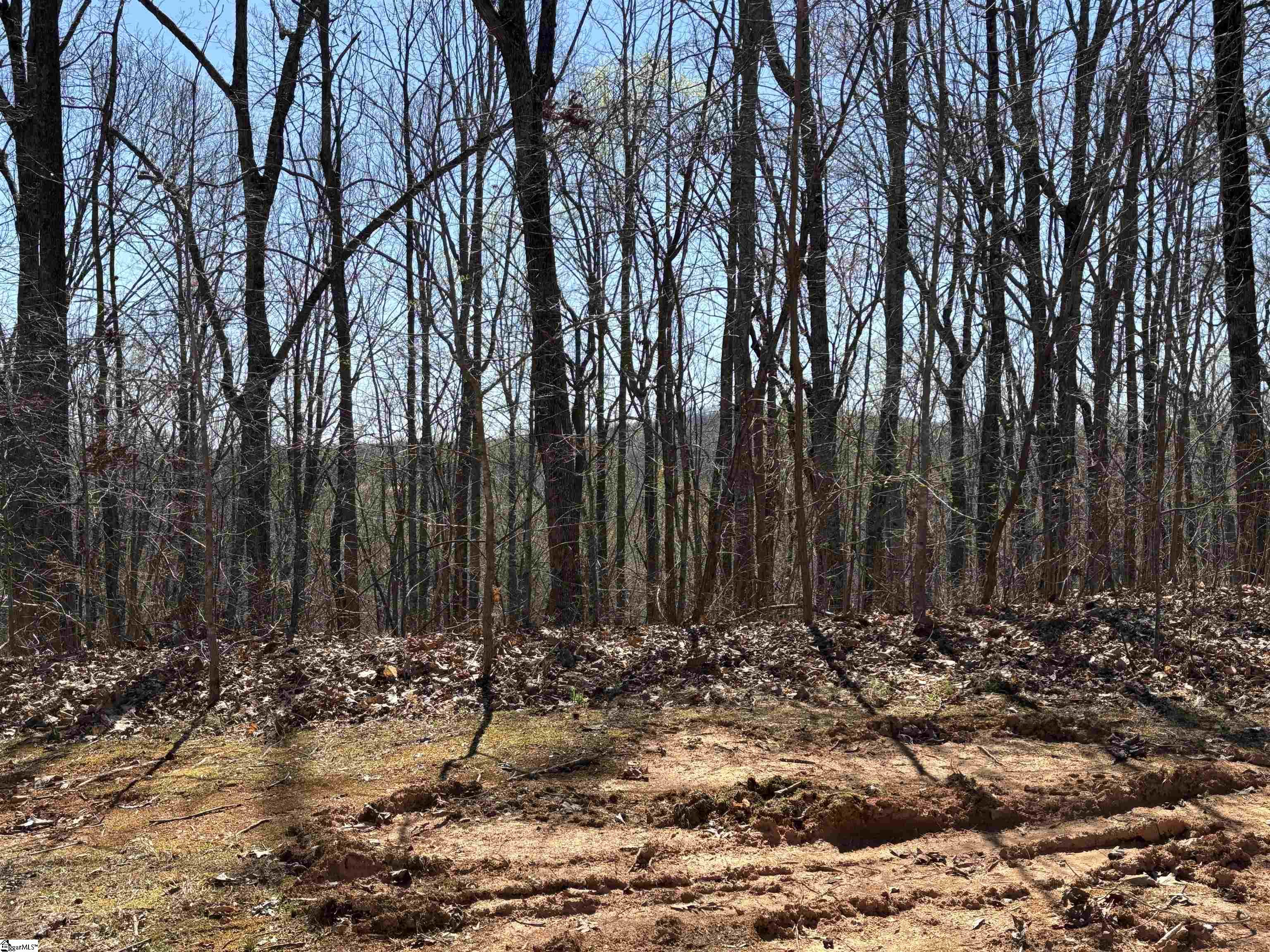 317 Laurel Valley, Travelers Rest, South Carolina image 25