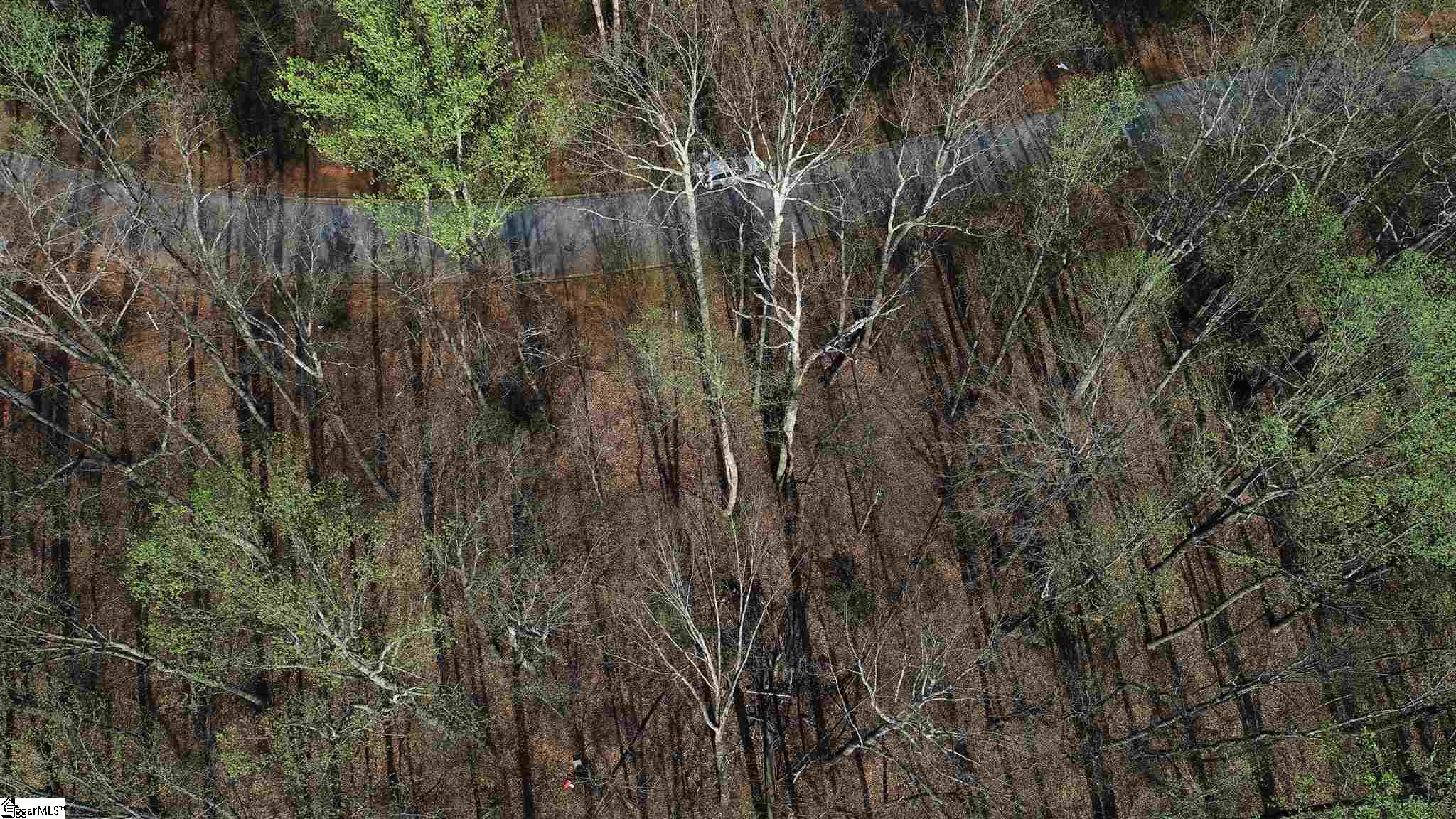 317 Laurel Valley, Travelers Rest, South Carolina image 7