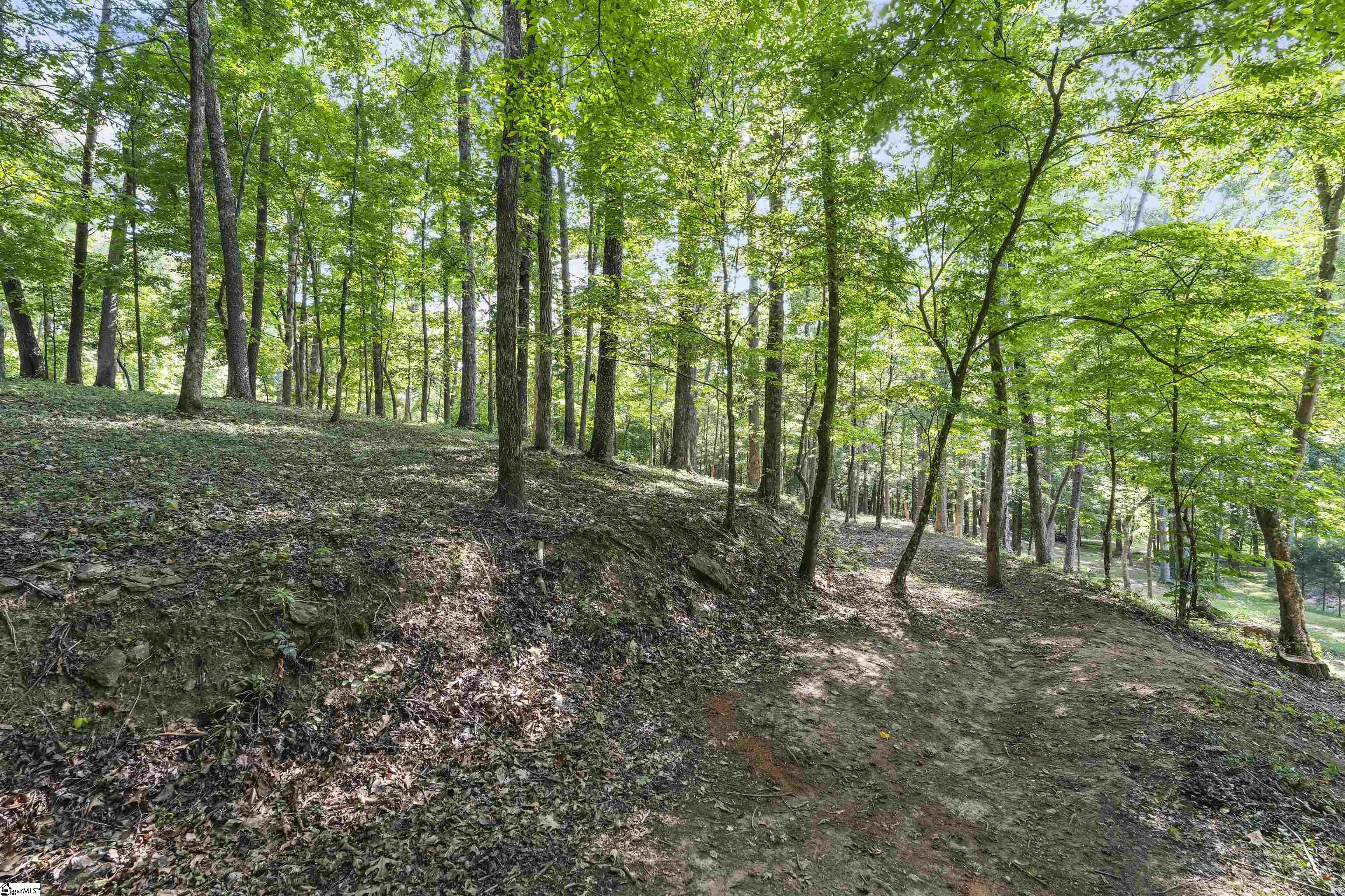 701 Old Saluda Dam, Easley, South Carolina image 23