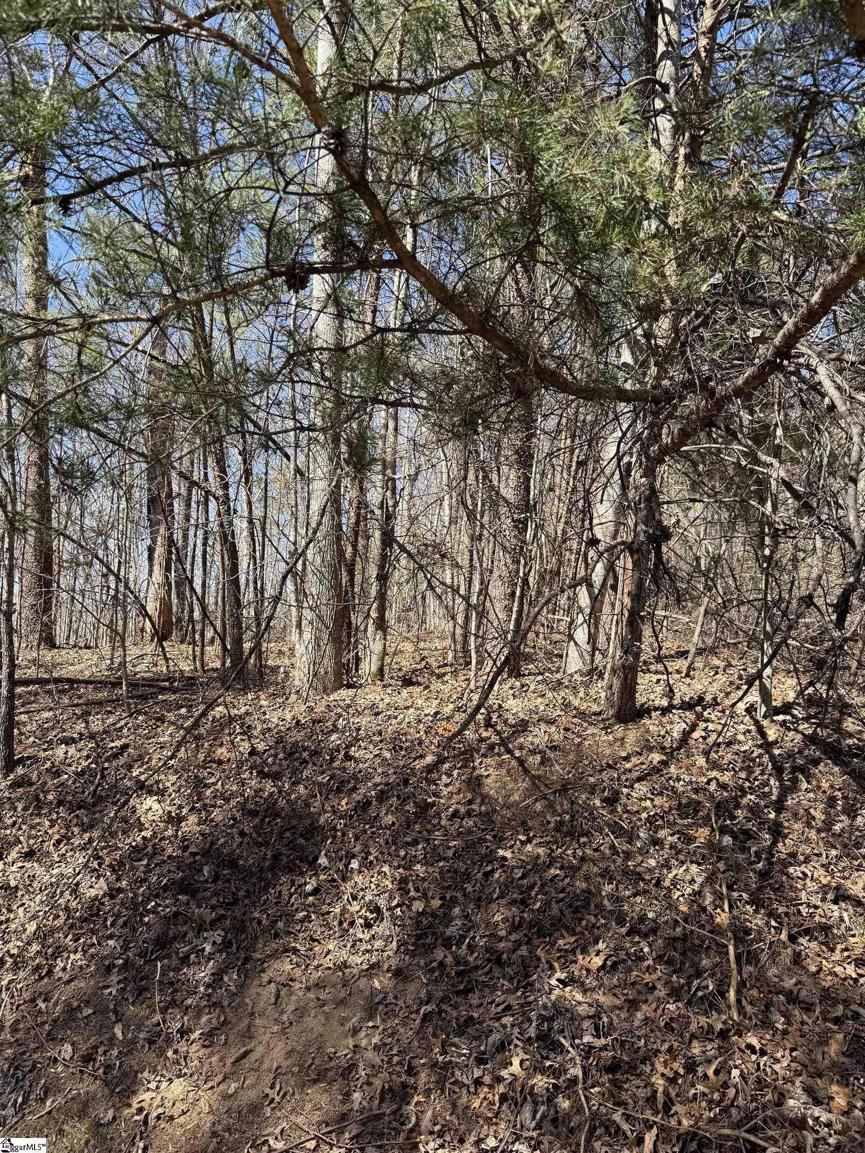 Lot 17 view on Foxboro Rd