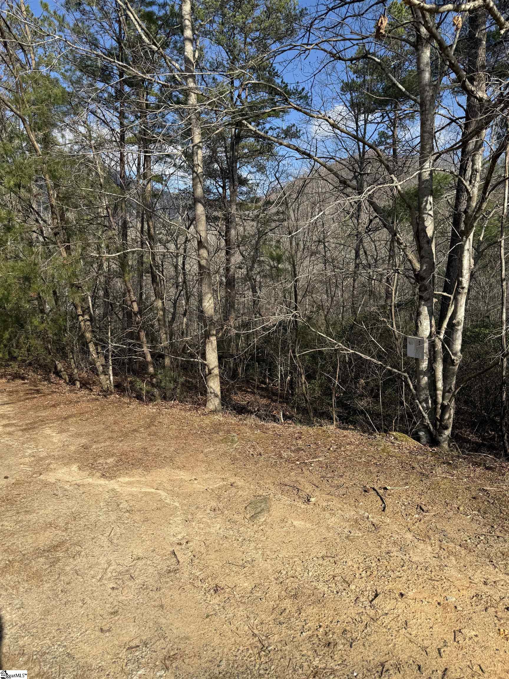 25 Lake Hill Lane Travelers Rest, SC 29690