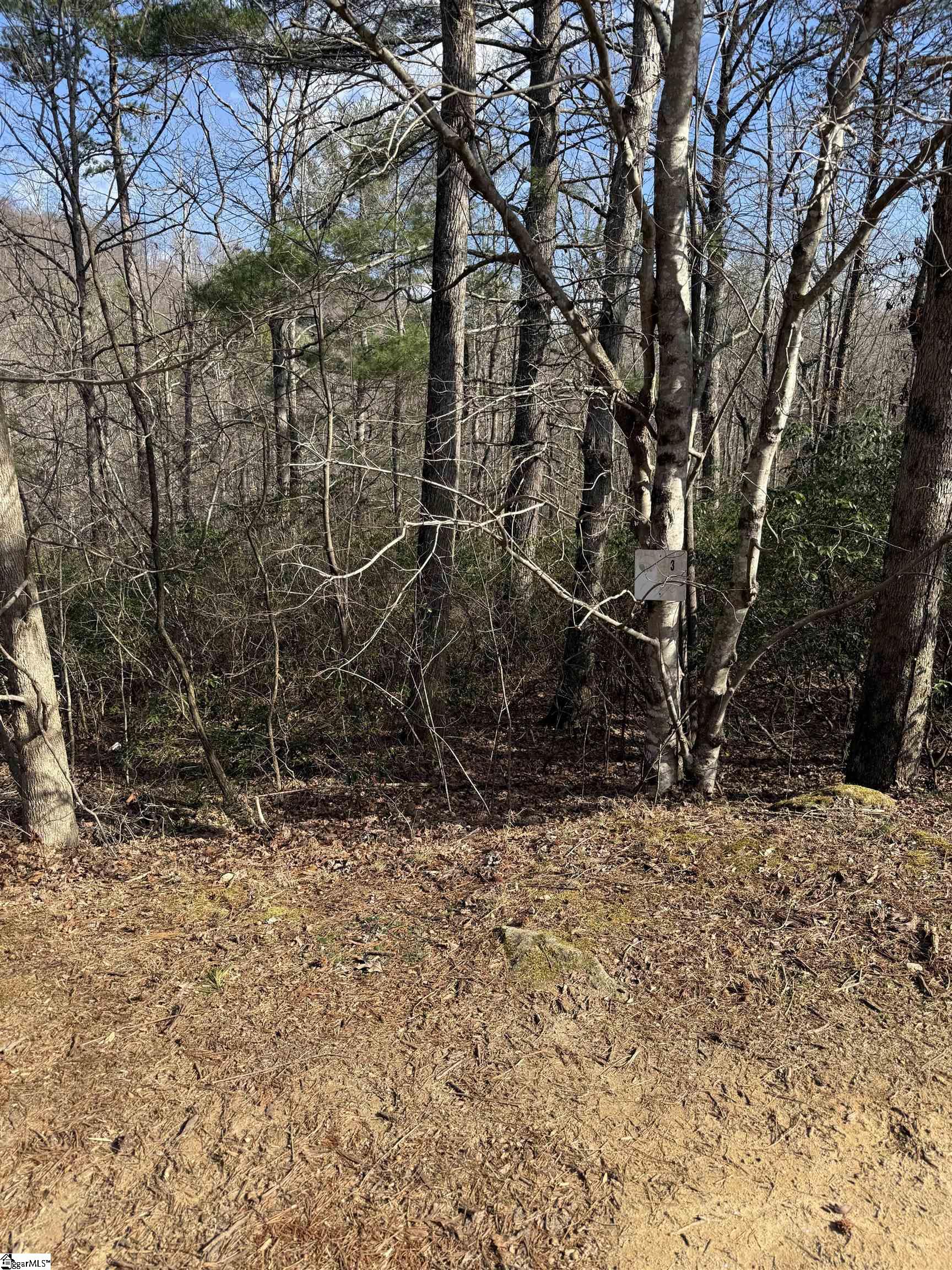 25 Lake Hill Lane Travelers Rest, SC 29690