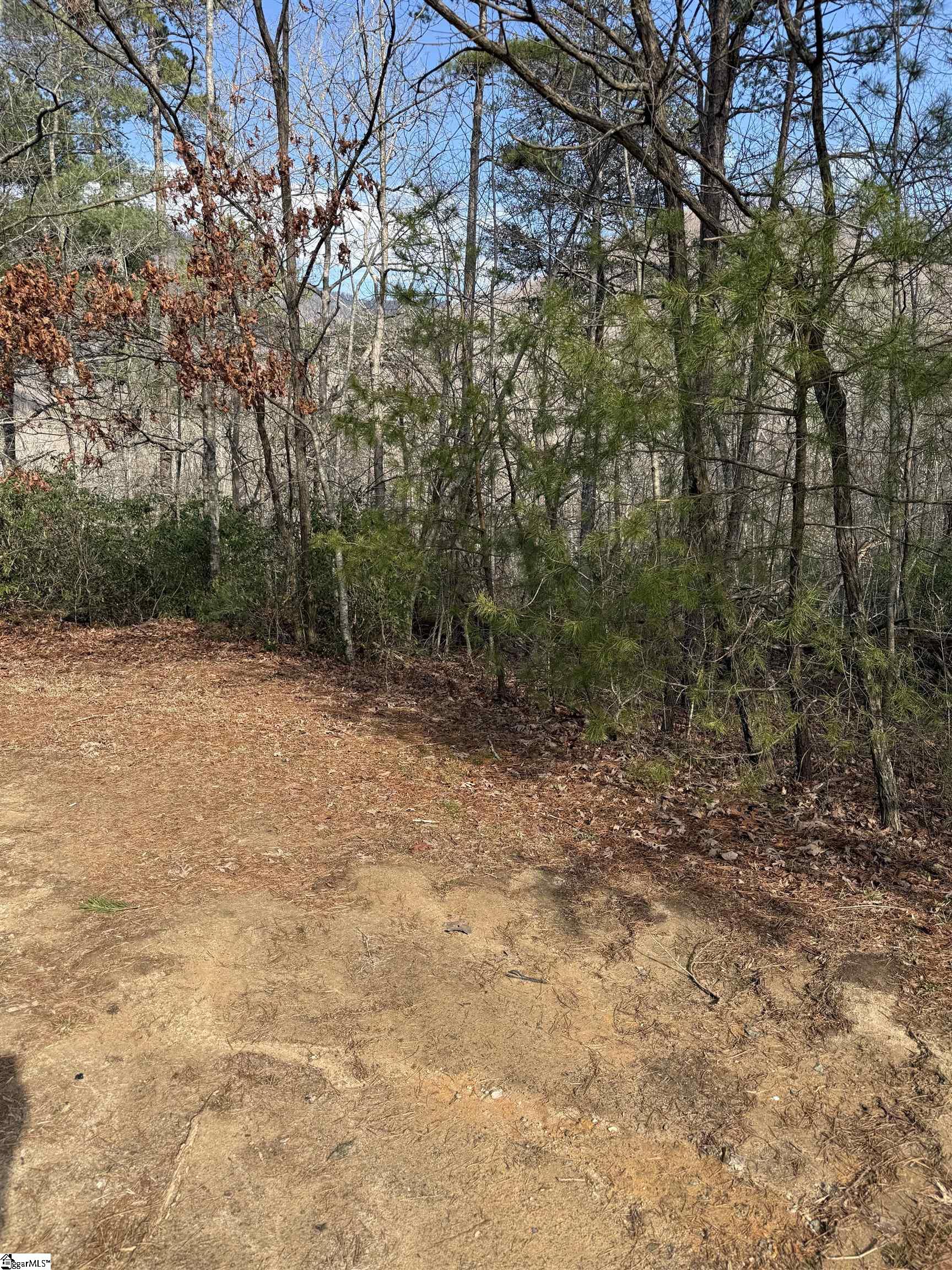 25 Lake Hill Lane Travelers Rest, SC 29690