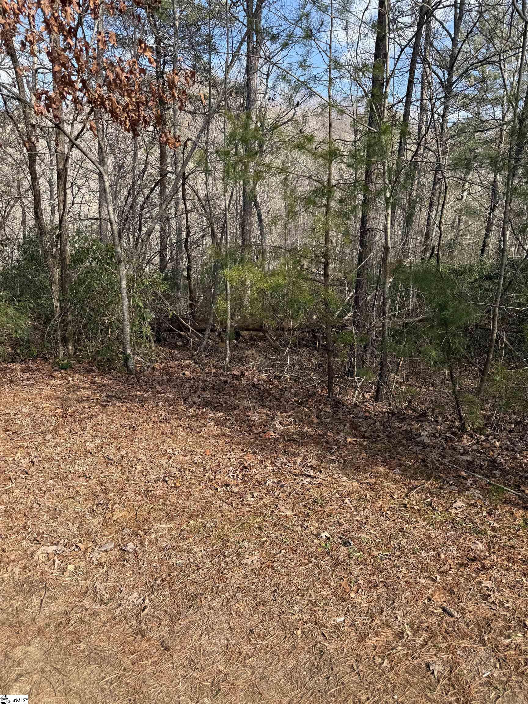 25 Lake Hill Lane Travelers Rest, SC 29690