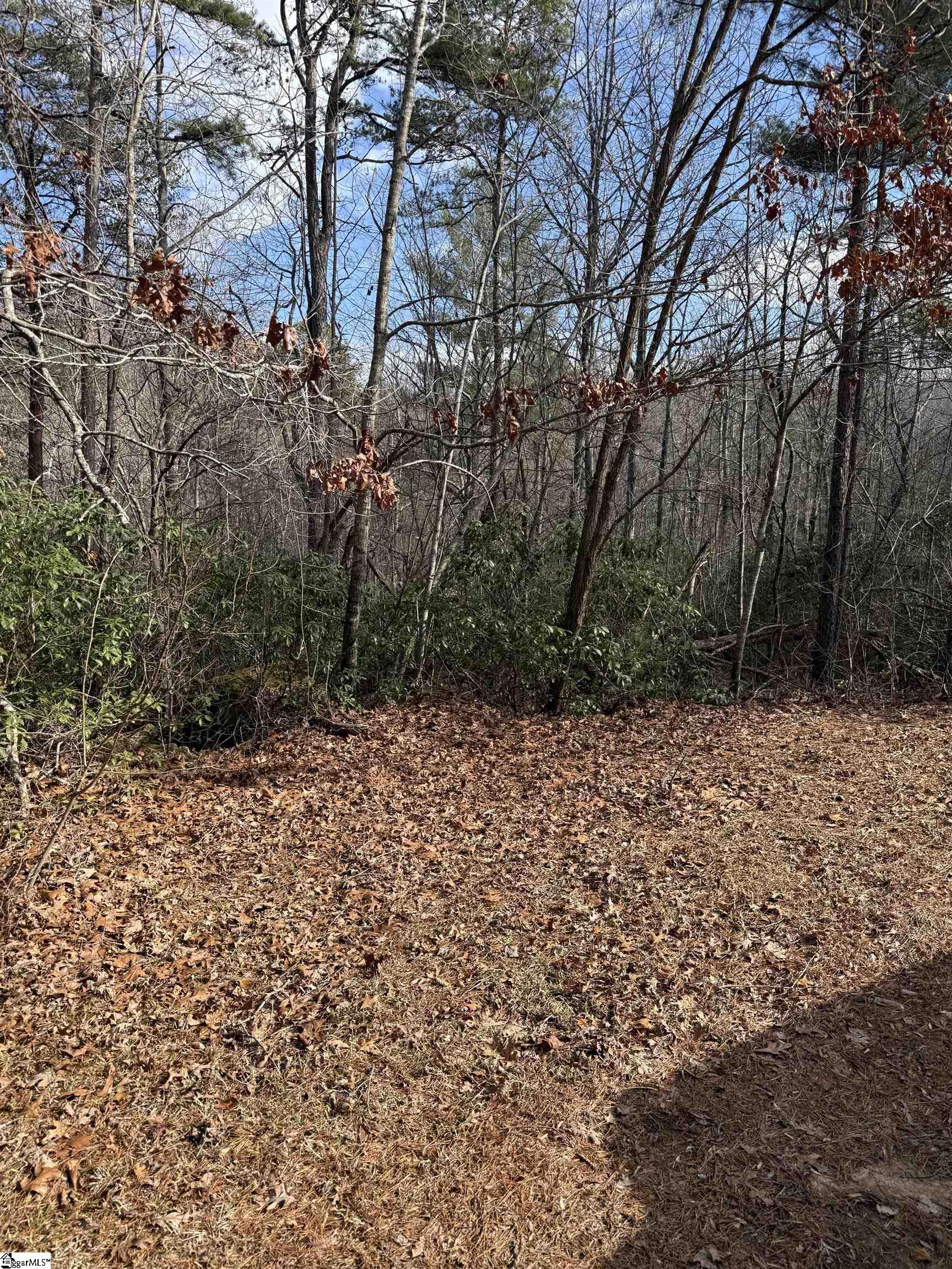 25 Lake Hill Lane Travelers Rest, SC 29690
