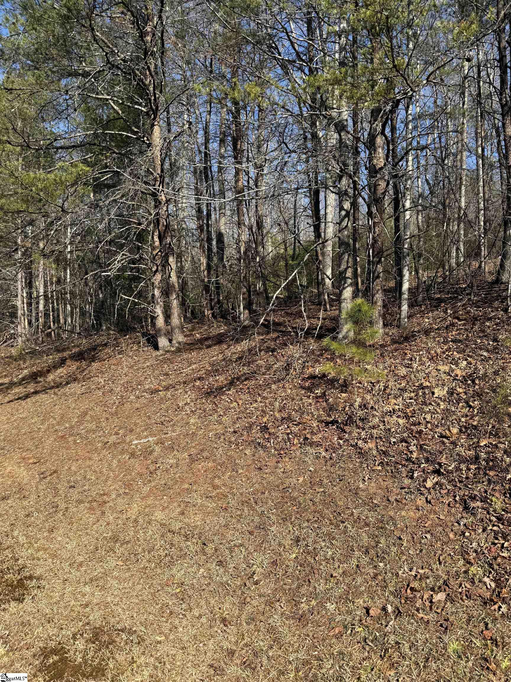 25 Lake Hill Lane Travelers Rest, SC 29690