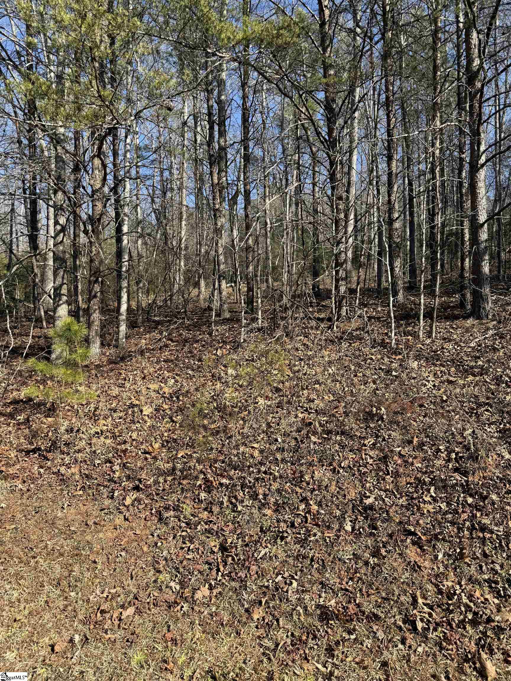 25 Lake Hill Lane Travelers Rest, SC 29690