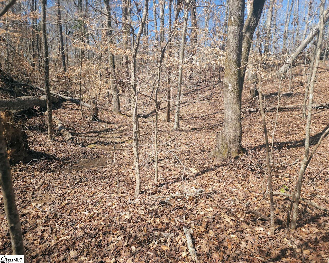 Knight, Gray Court, South Carolina image 12