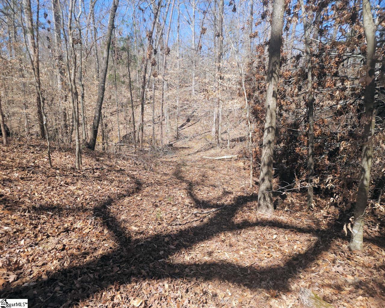 Knight, Gray Court, South Carolina image 14