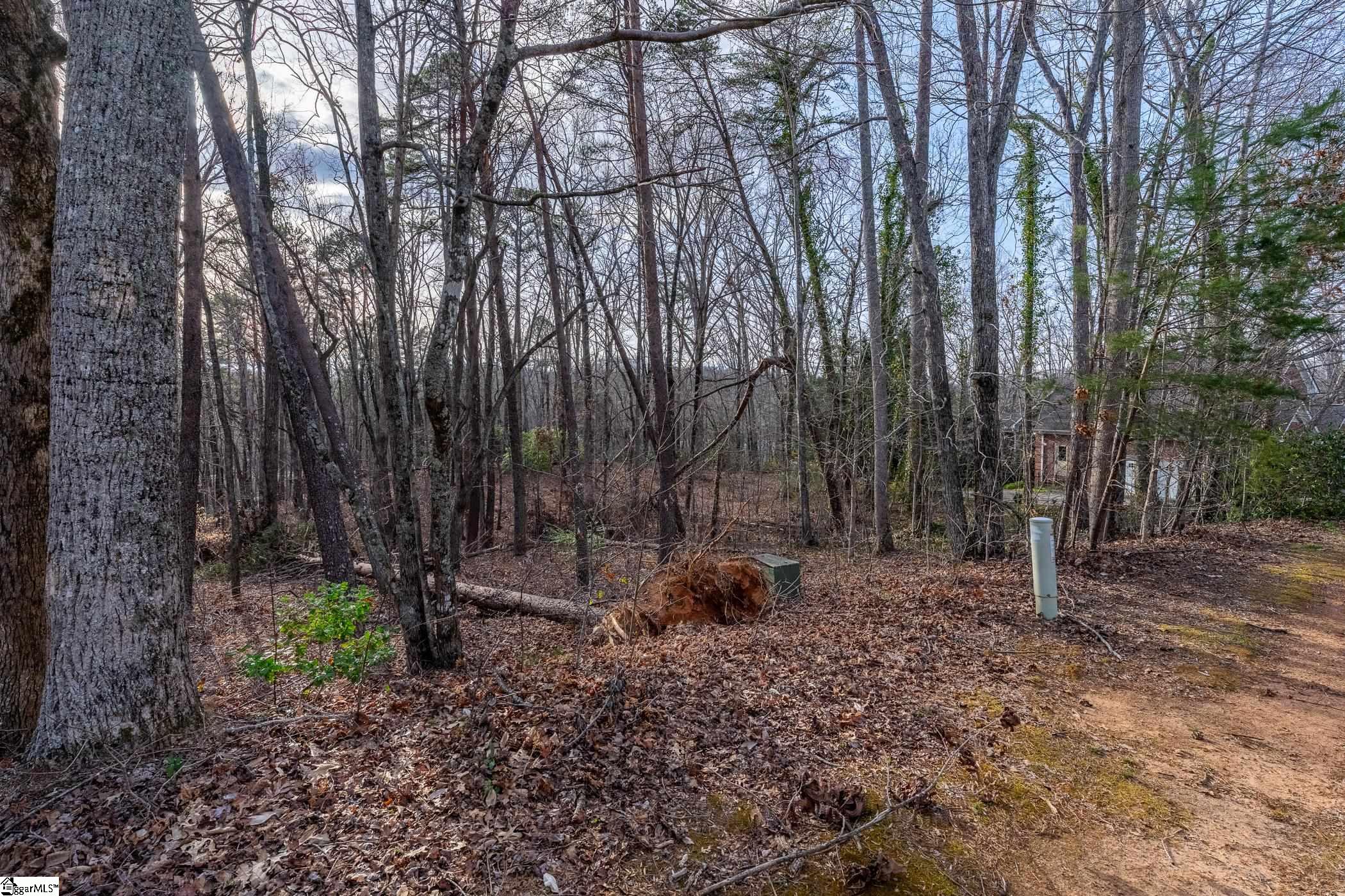 18 Rhone Valley, Travelers Rest, South Carolina image 5