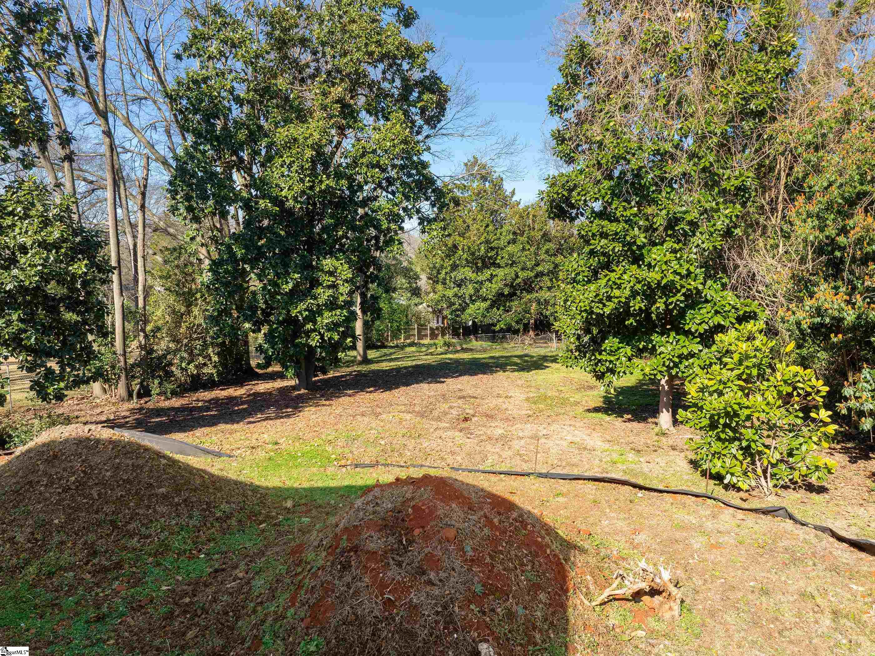 110 Rice, Greenville, South Carolina image 10