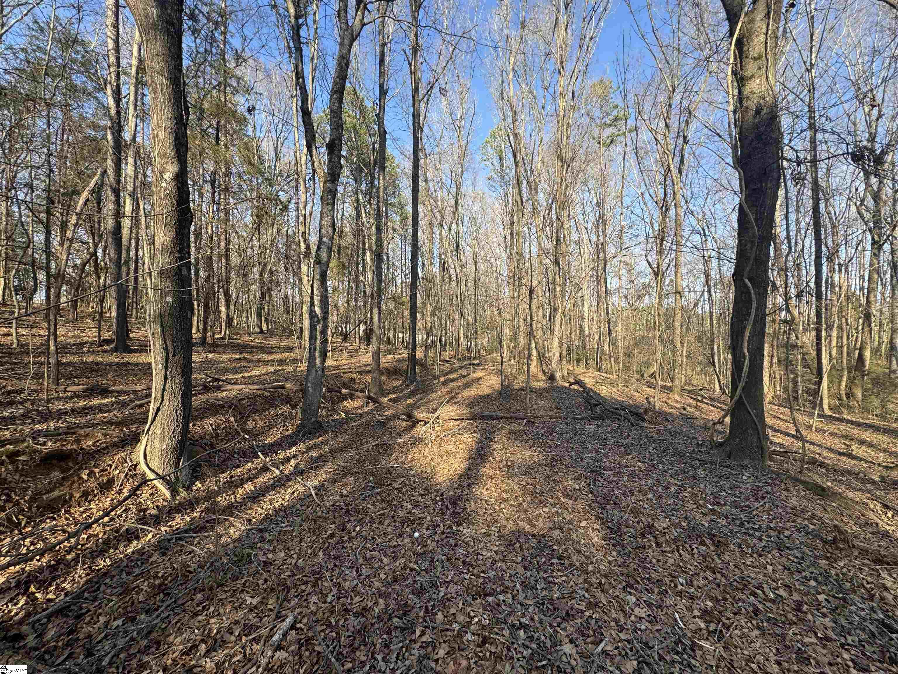 212 Lancashire, Williamston, South Carolina image 14
