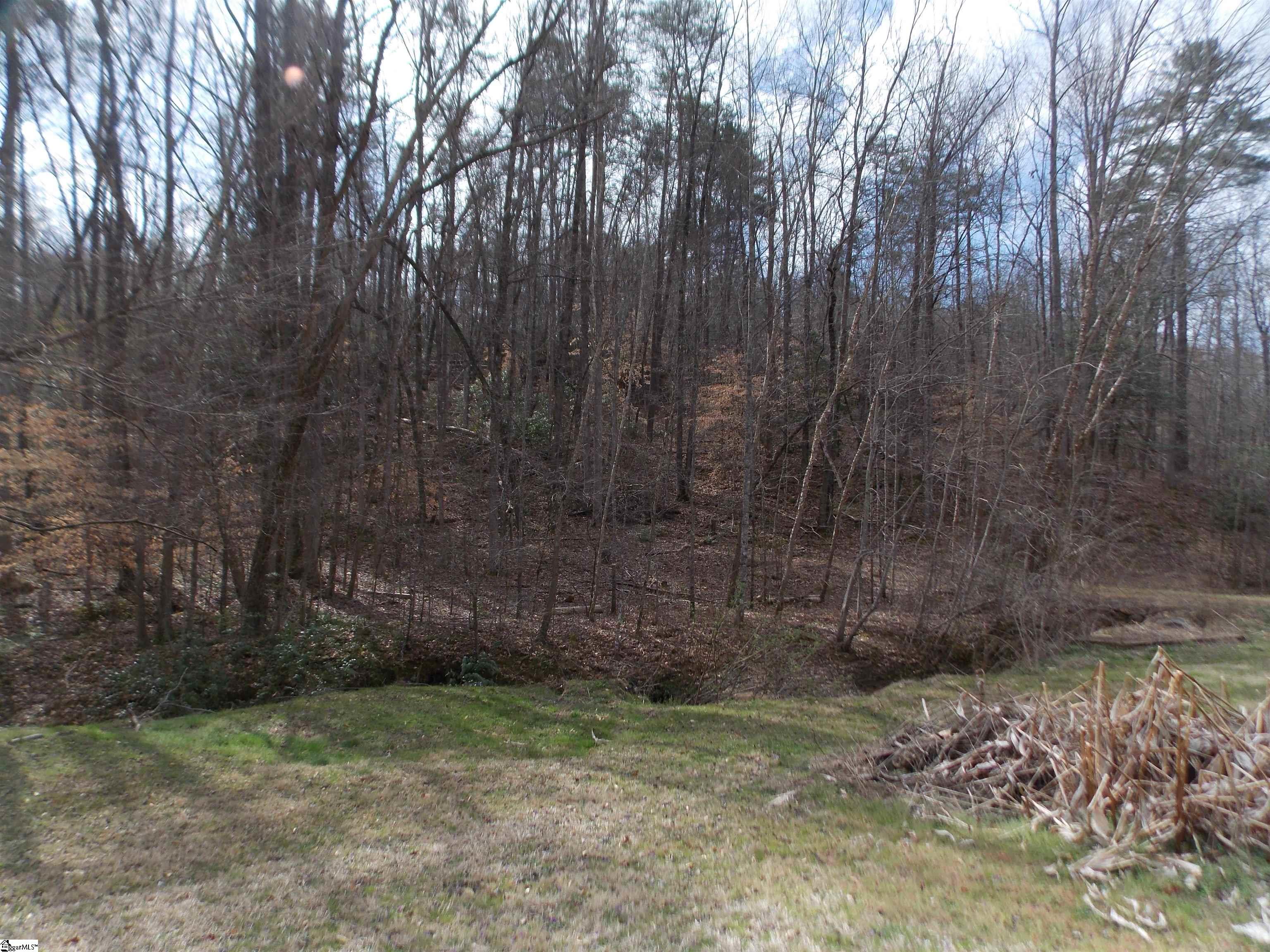 00 Holloway, Marietta, South Carolina image 11