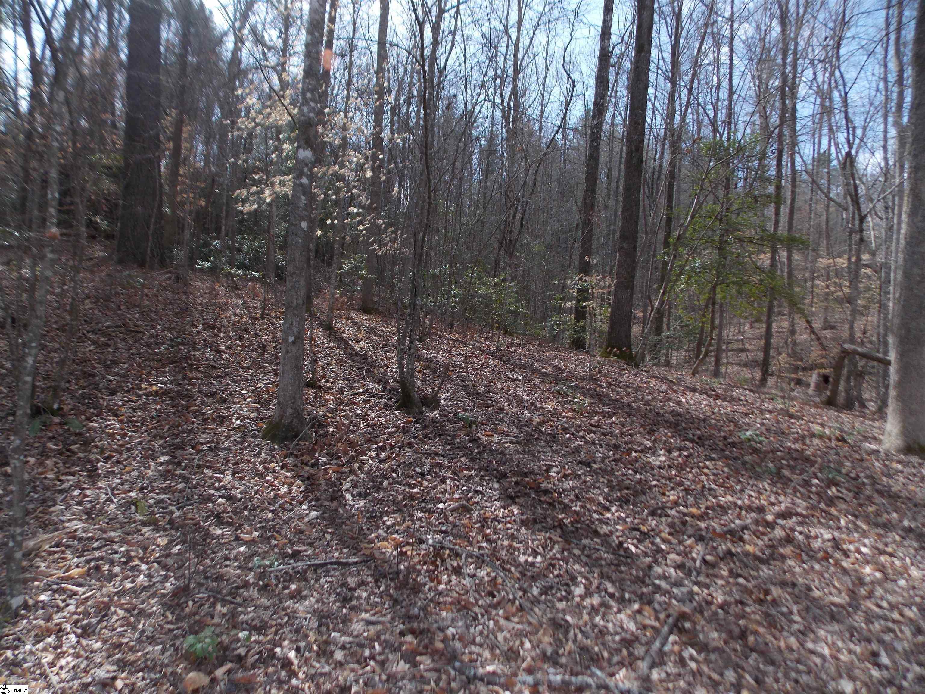 00 Holloway, Marietta, South Carolina image 20