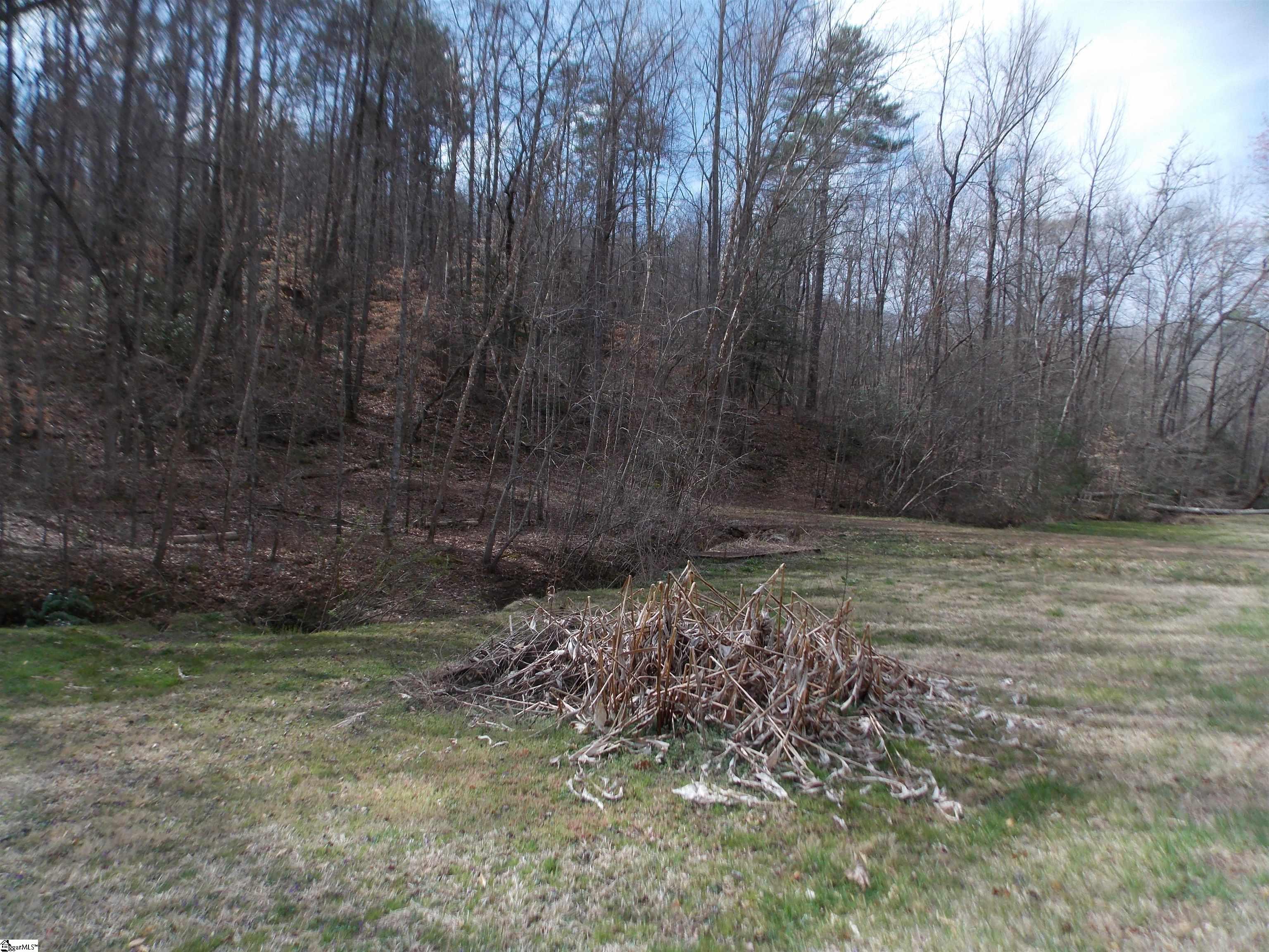 00 Holloway, Marietta, South Carolina image 3